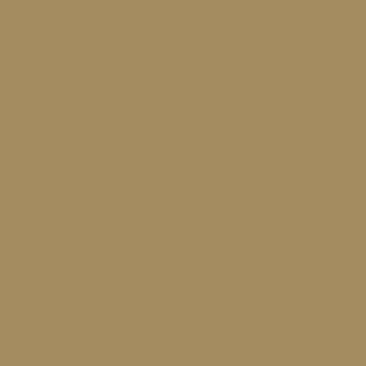 Andover Century Solids - Cafe Au Lait