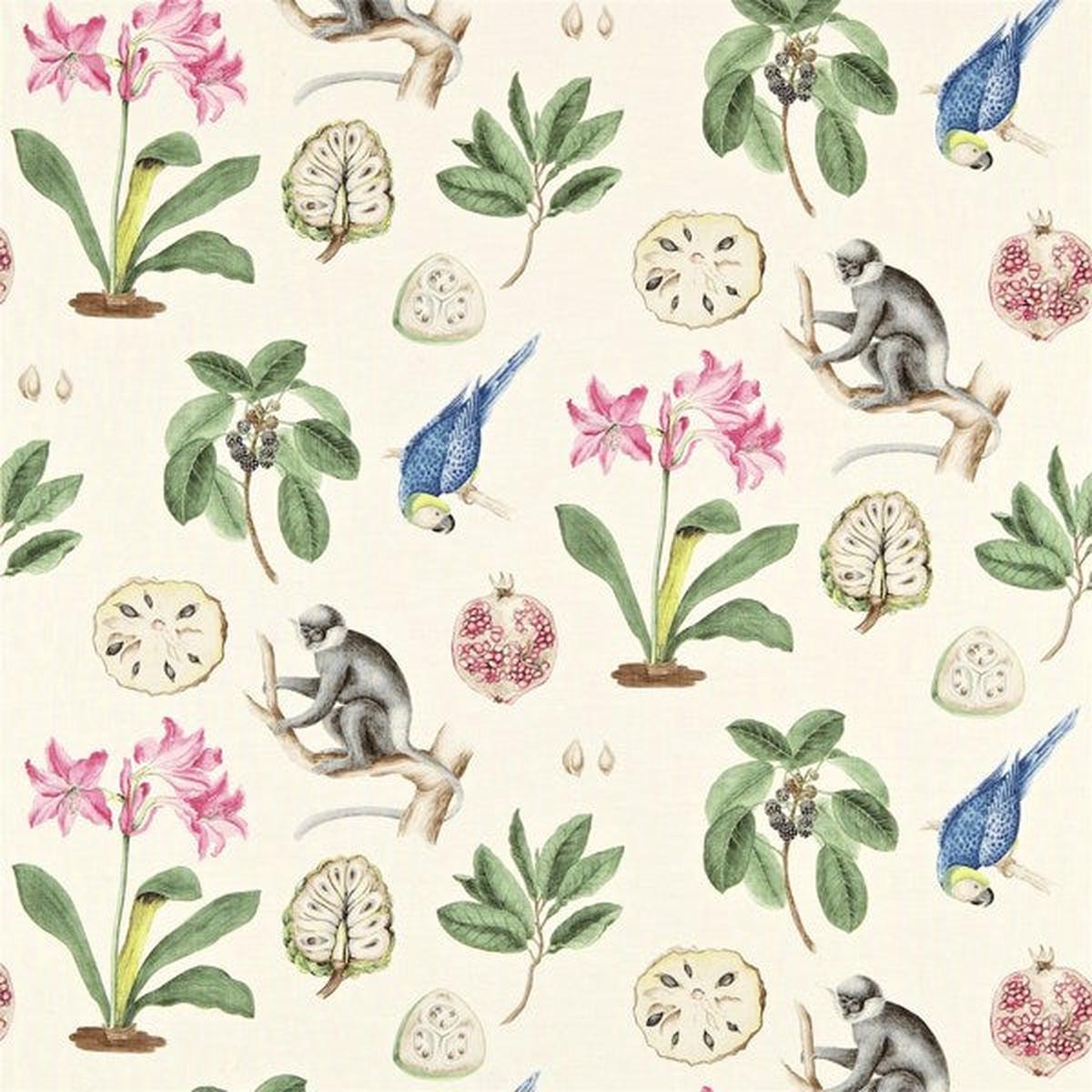 Capuchins | Chintz