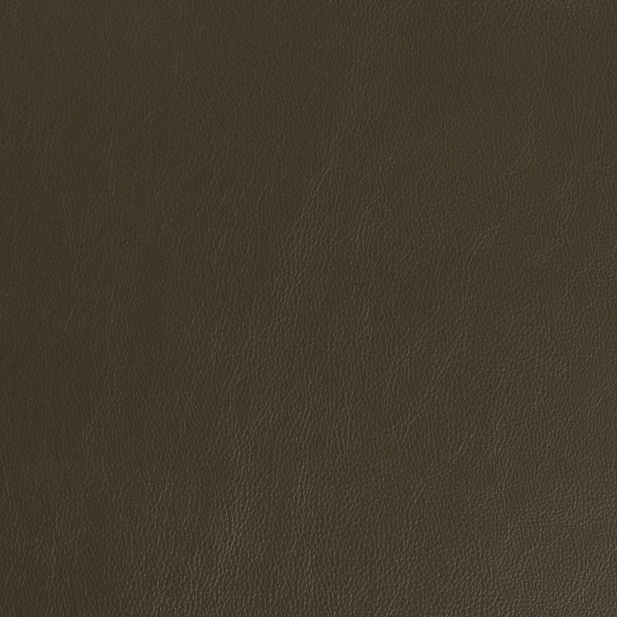 V939 Olive by Charlotte Fabric