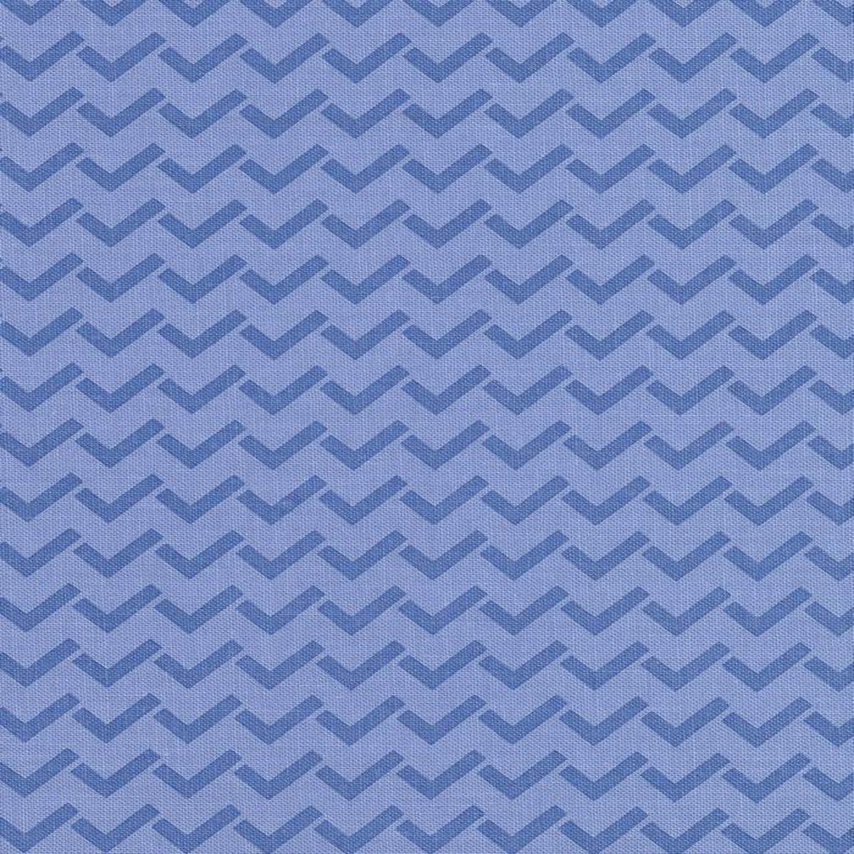 Creativity Roars Check Yourself By Creativity Shell For Moda Bluesky