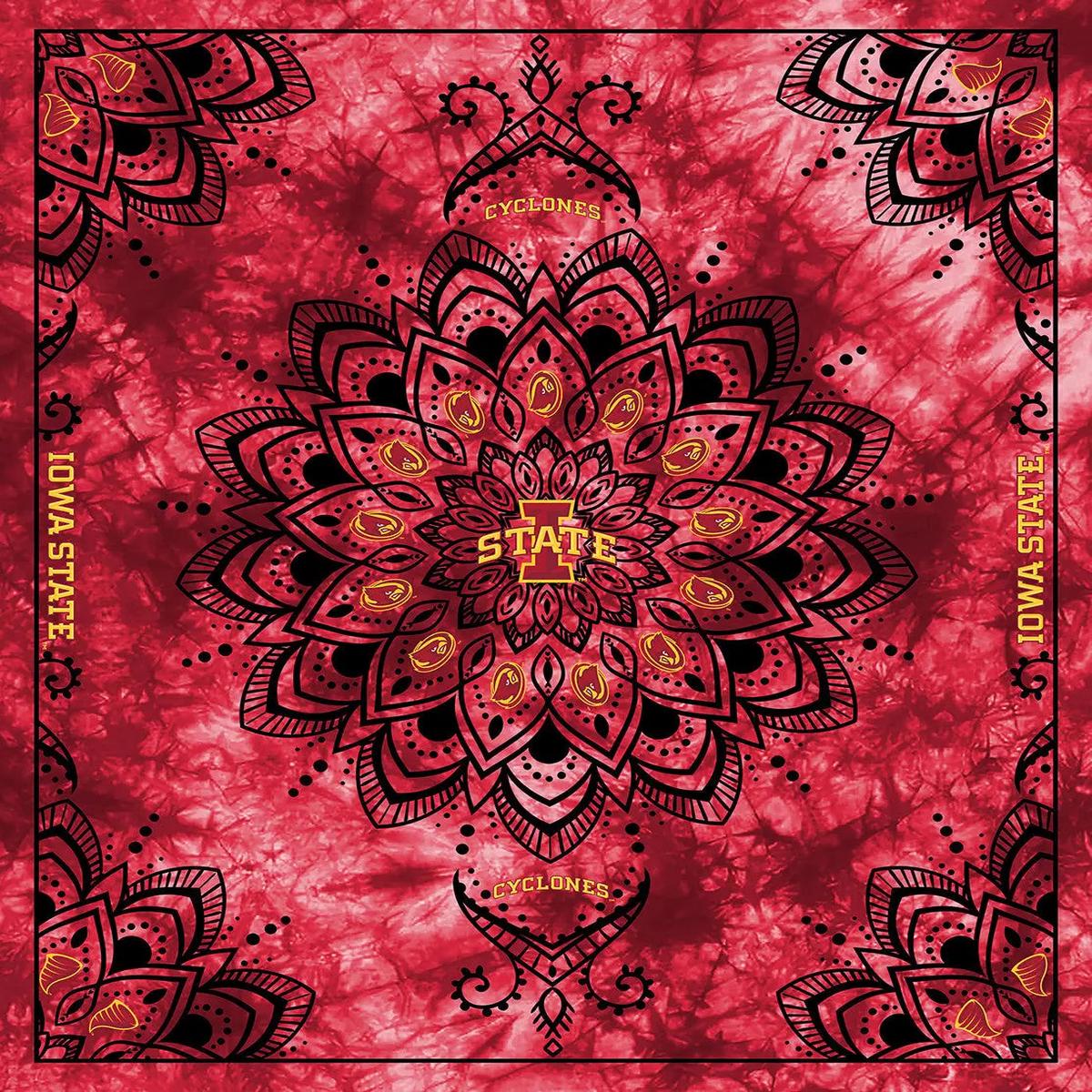 Iowa State Collegiate Tapestry-48in x 56in