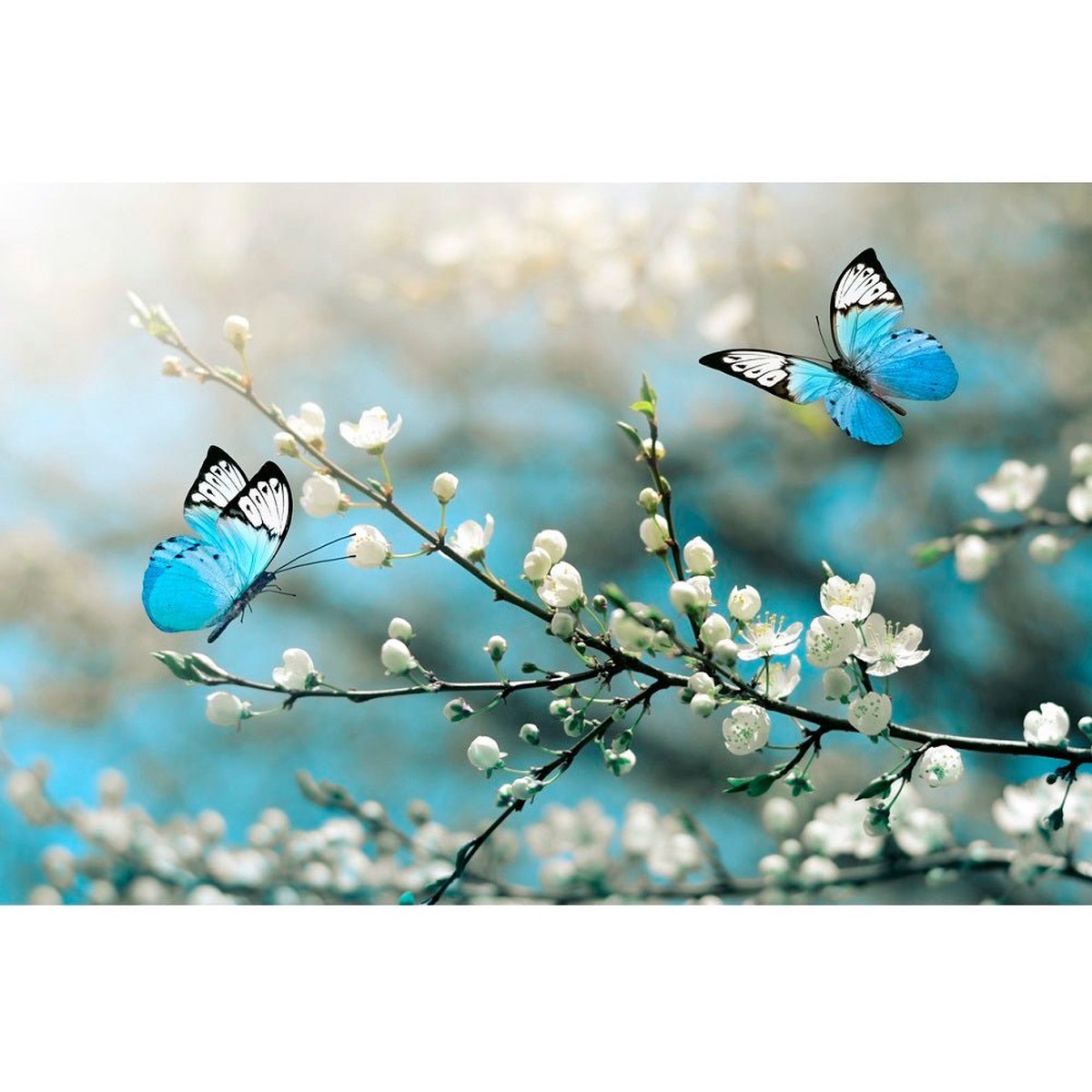 Realistic Cherry Blossoms and Butterflies Fabric Panel
