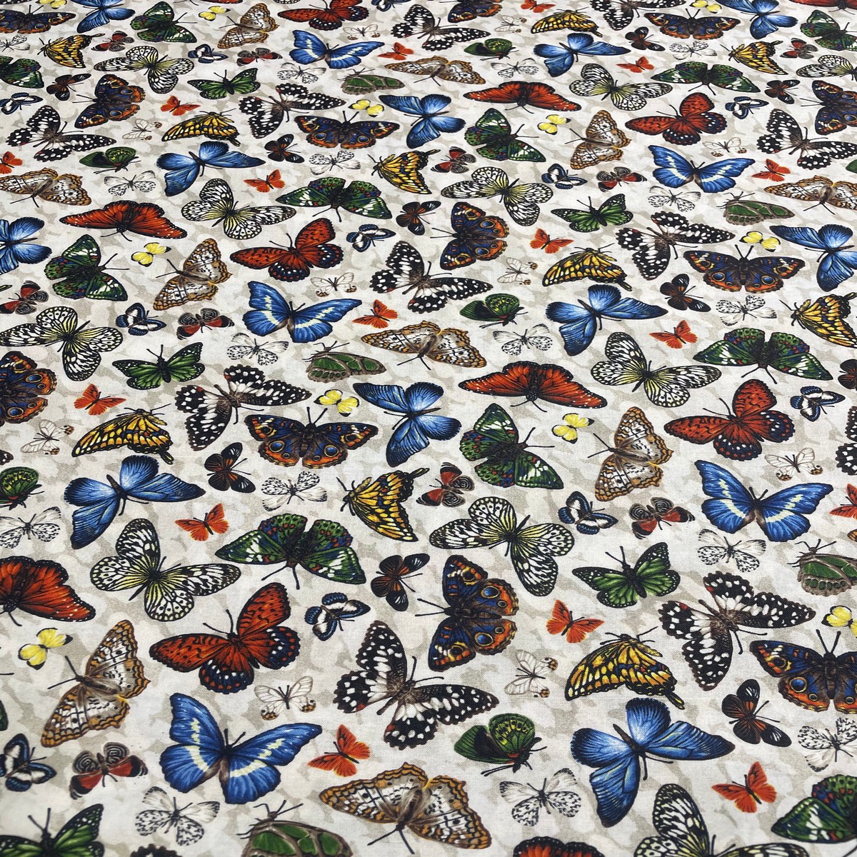 Frolicking Fields Butterflies White- Paintbrush Studio Cotton Fabrics