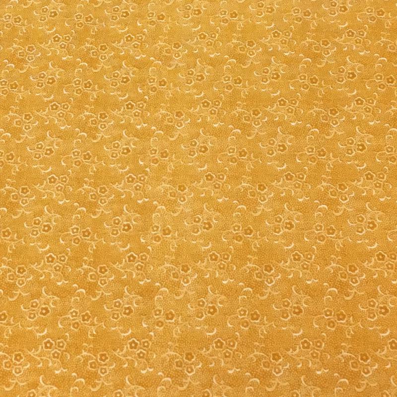 Focus II Sunshine