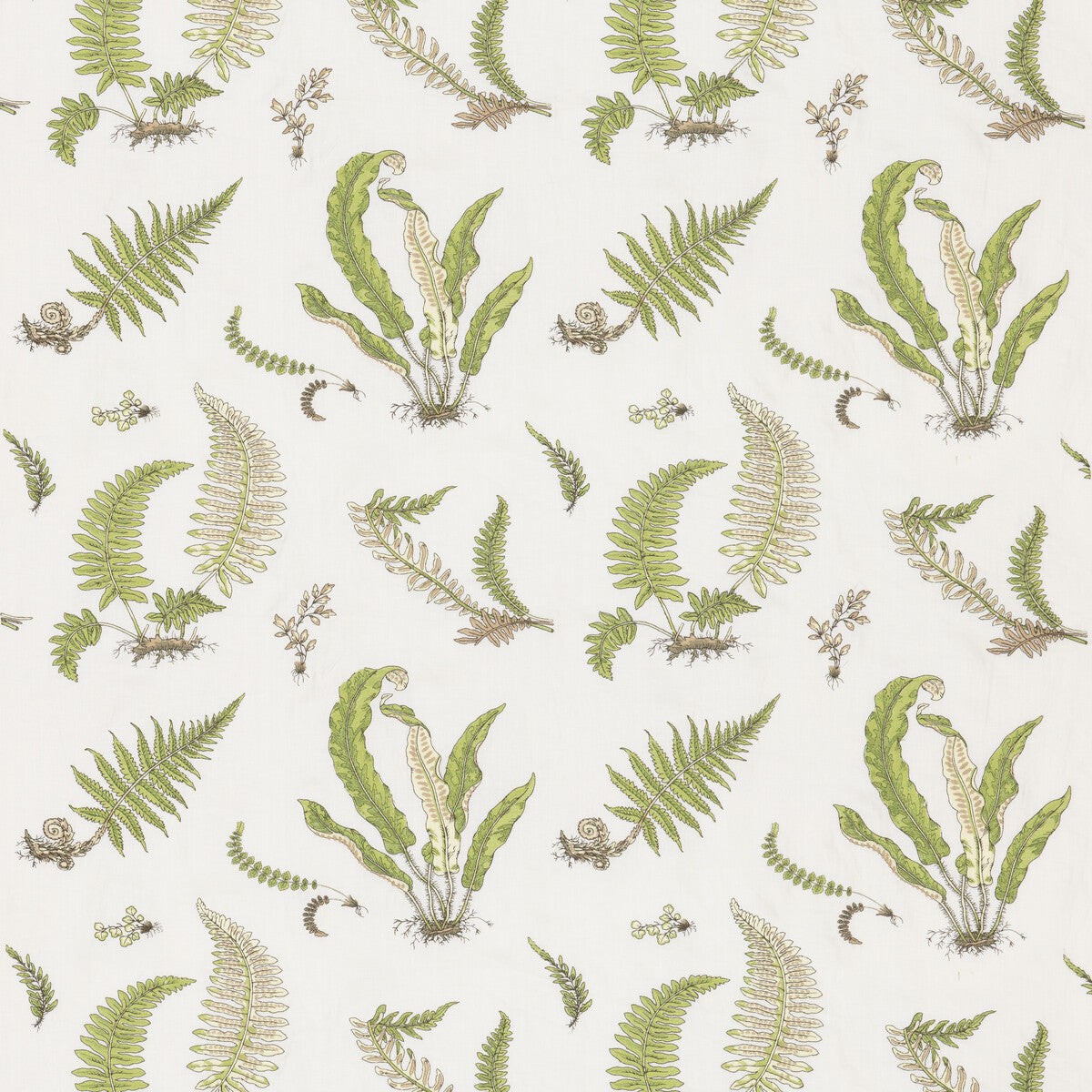 Ferns Embroidery Green Fabric