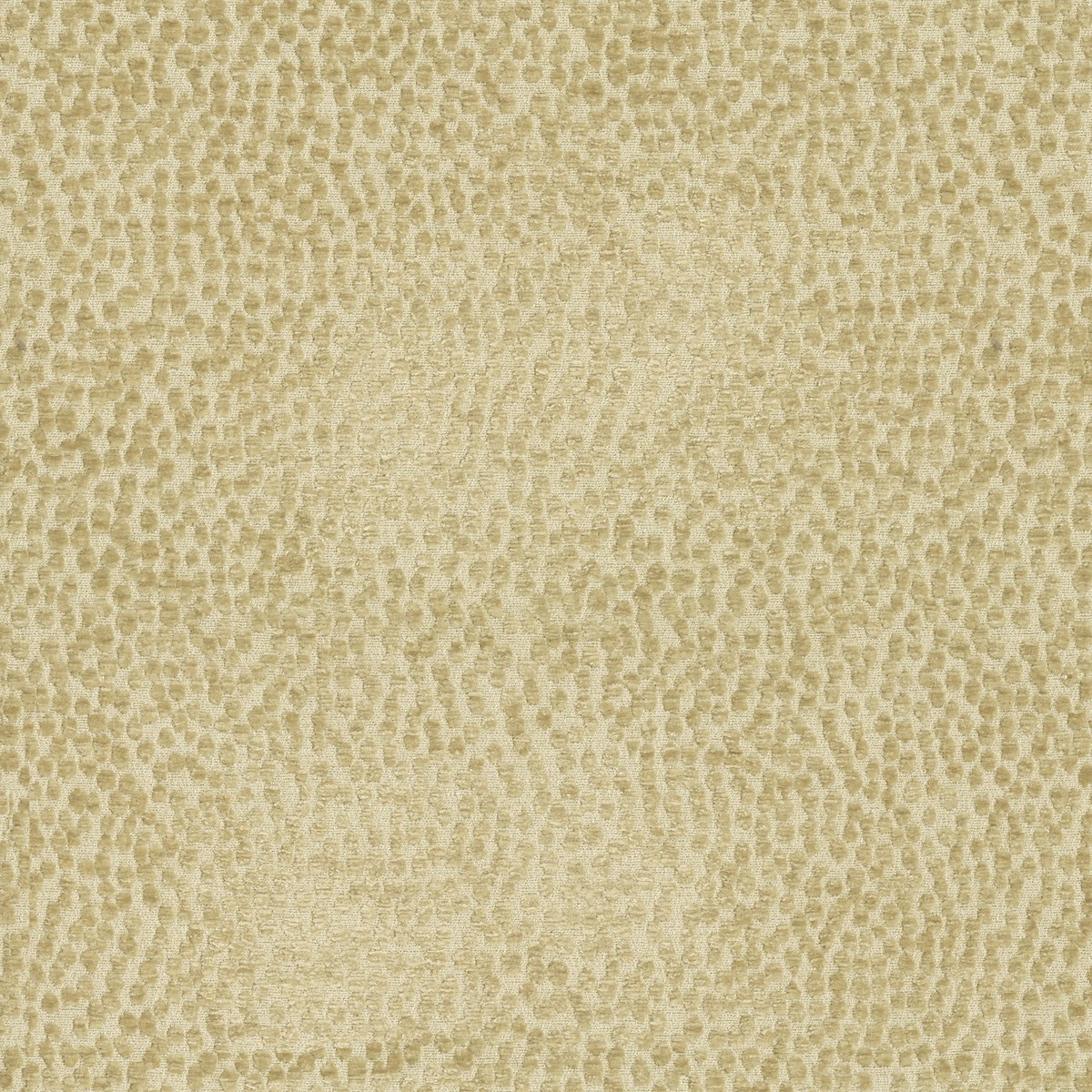 Spotty Dotty Hay P/K Lifestyles Fabric