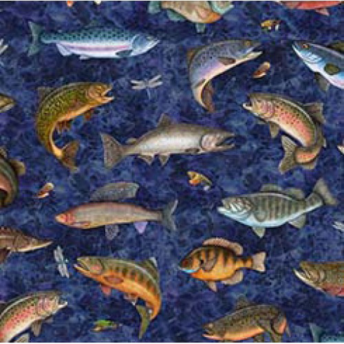 Fish Tails Fish Allover - Navy by Dan Morris