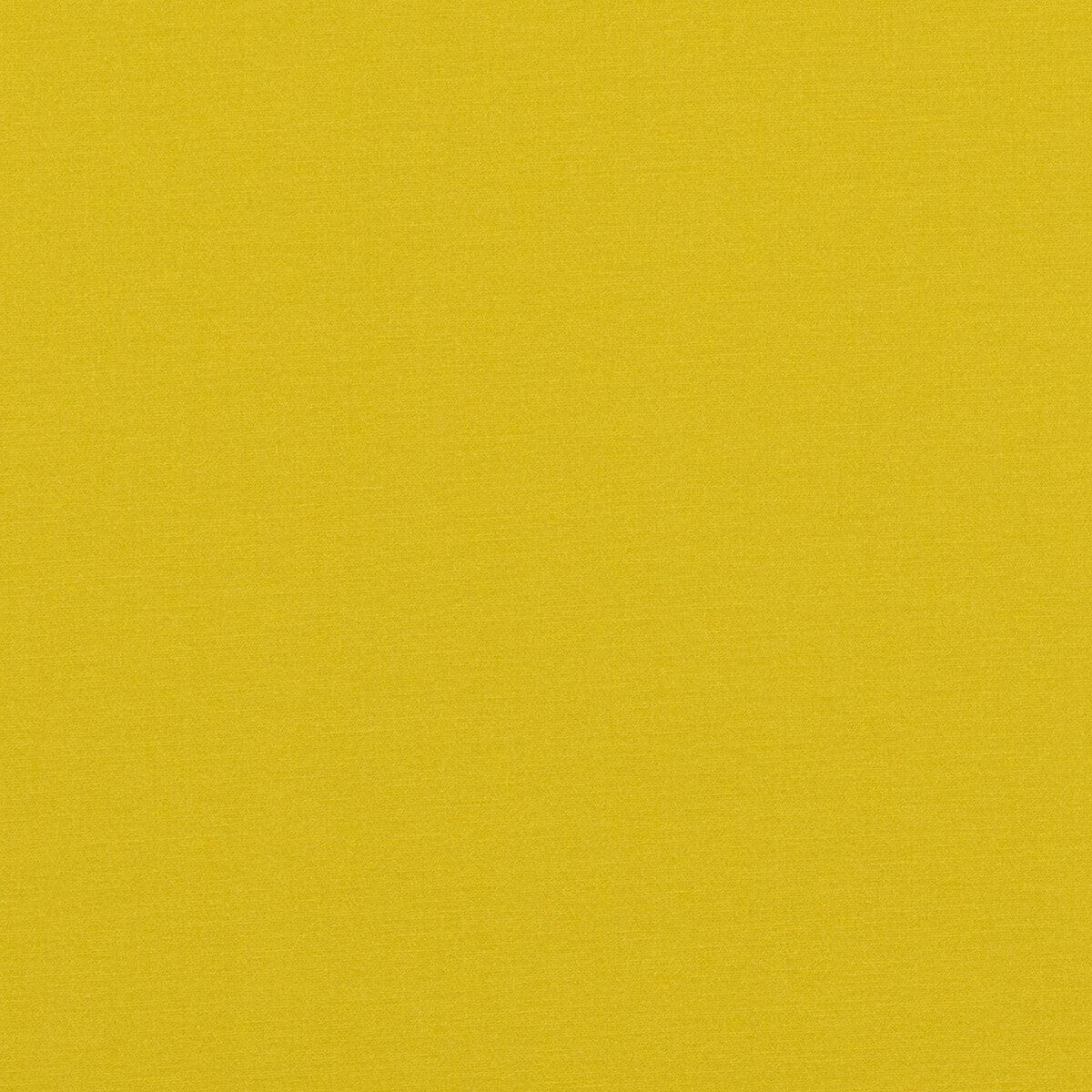 Pavilion Citrus Fabric