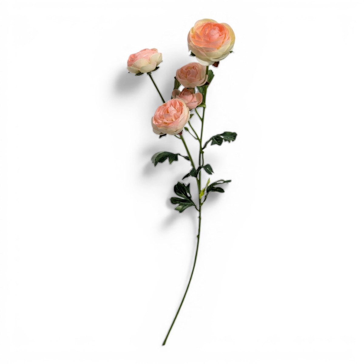 28" Peachy Pink & Cream Ranunculus Spray