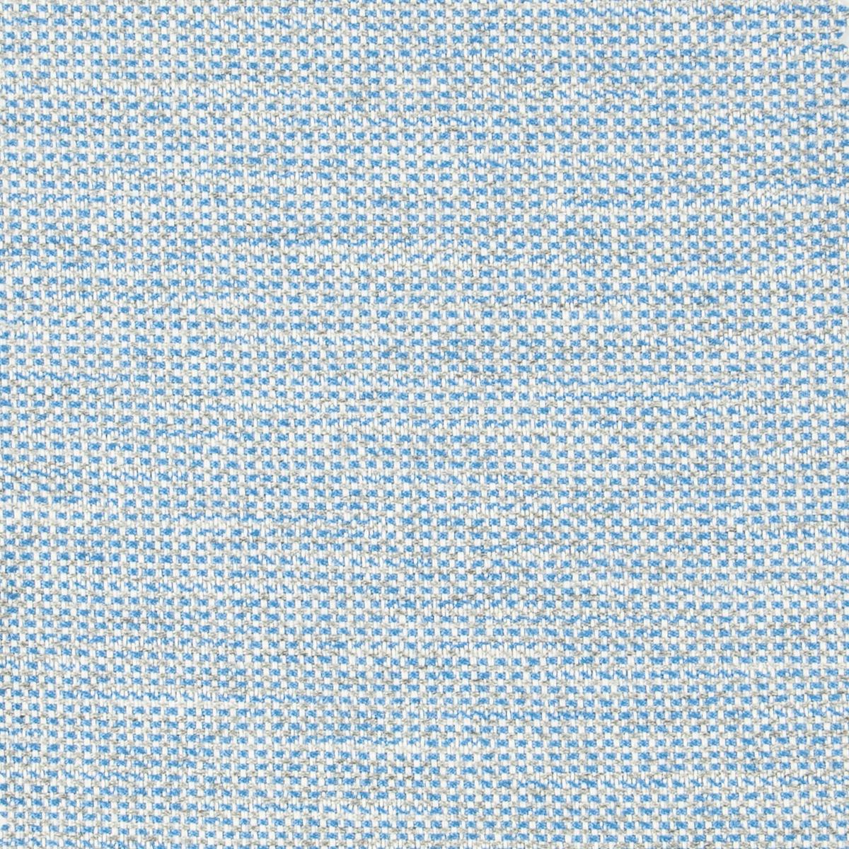 DERBY 6 BLUEBIRD