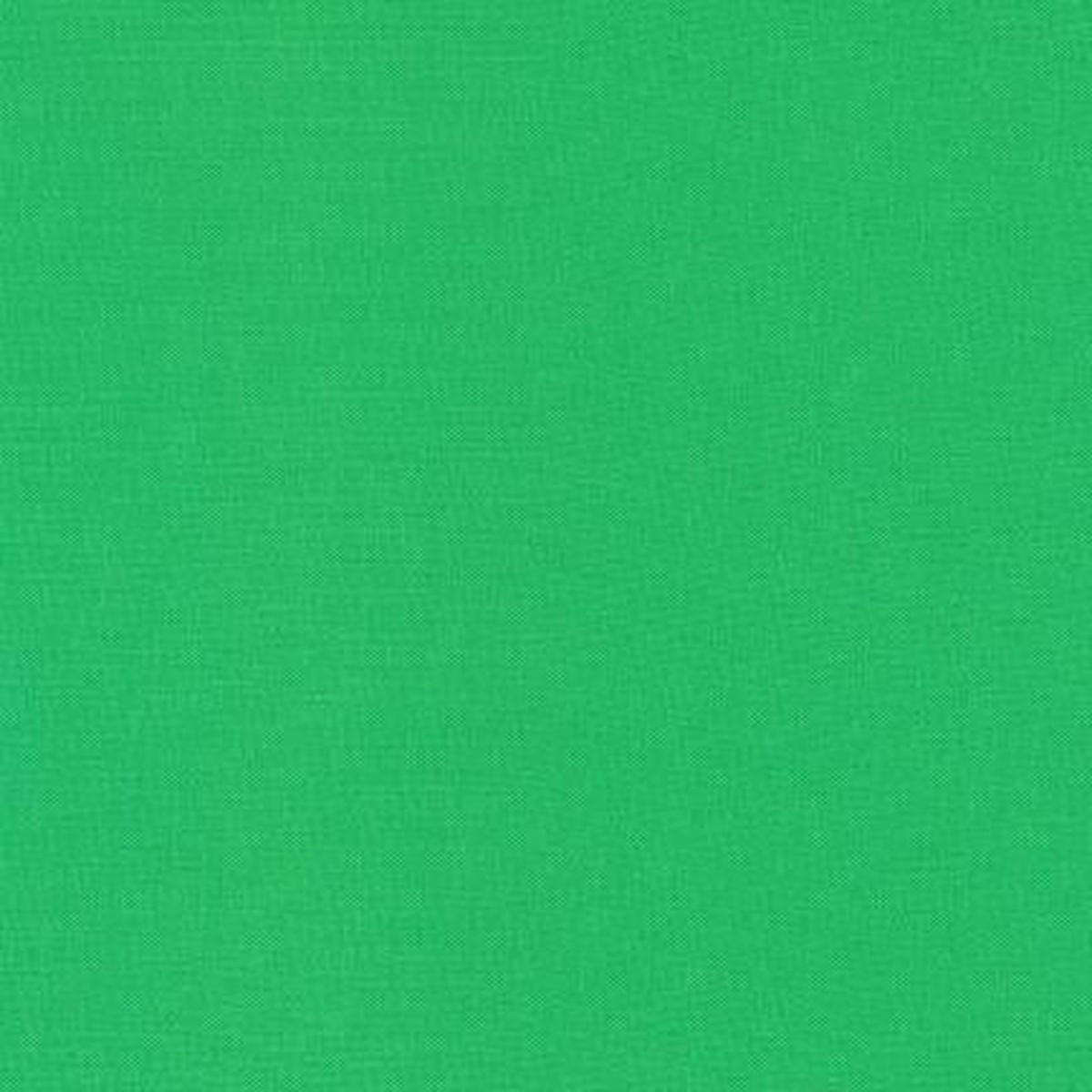 Robert Kaufman Kona Solids, K001-1141, Fern