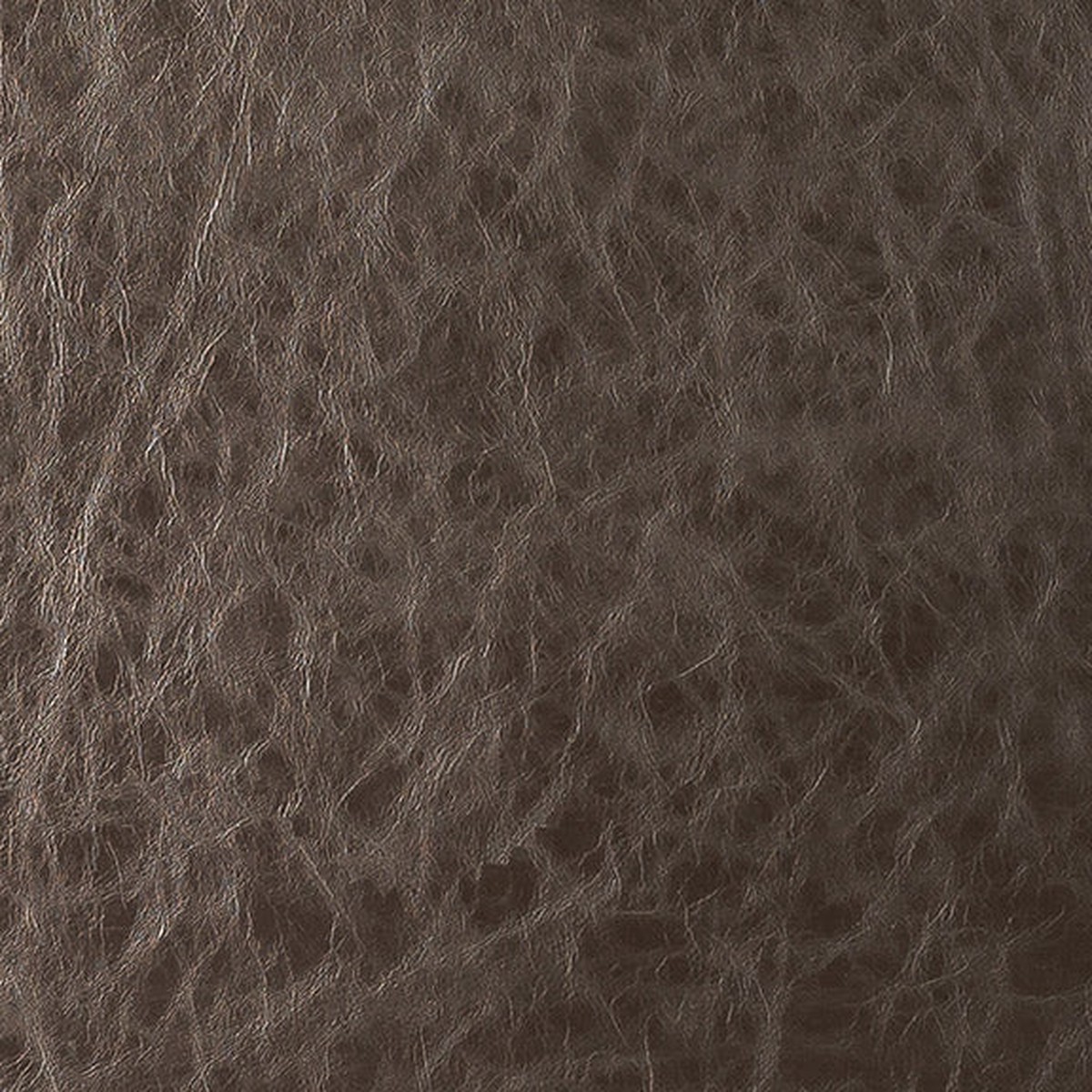 Brentano Taurus Bear Fabric 6817-06