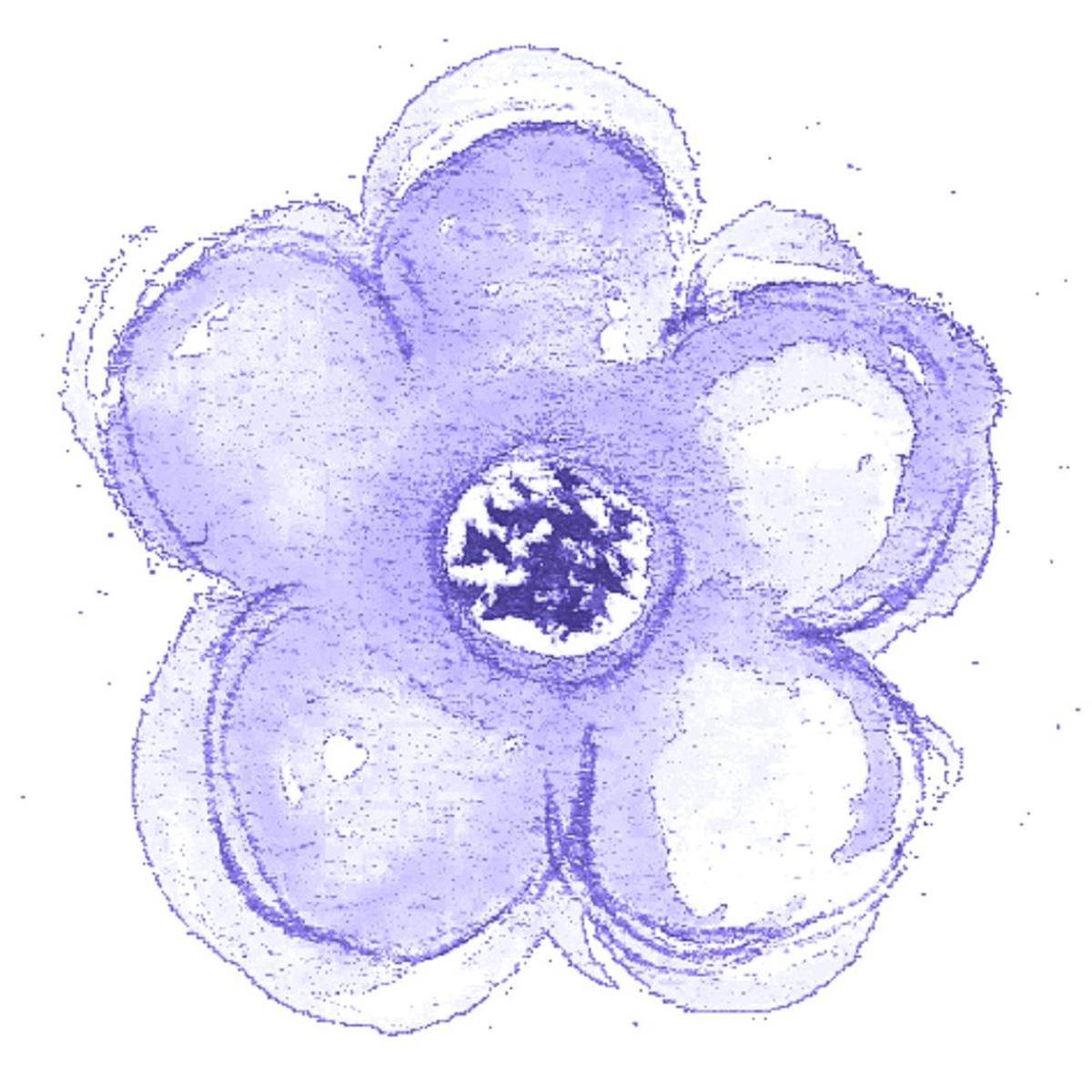 Light Purple Flower Fabric Panel