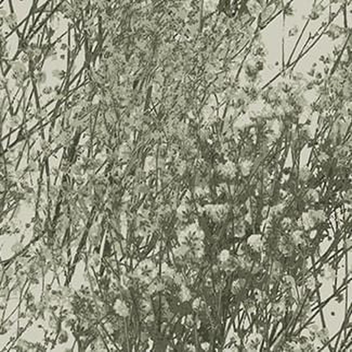 Tranquility - Floral Branches Green