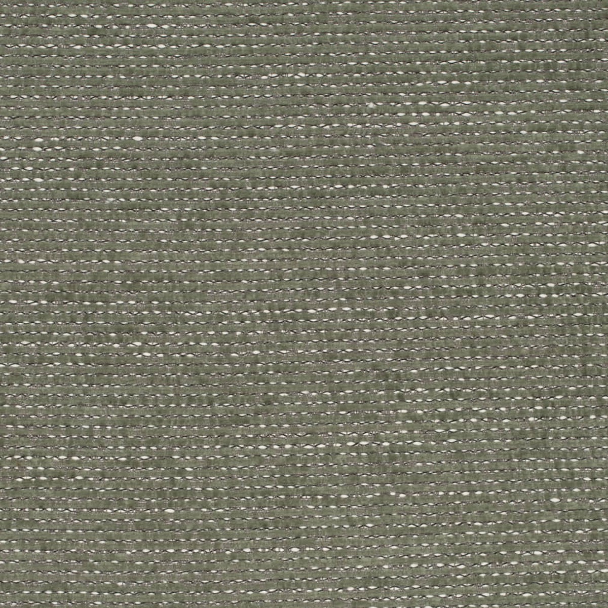 D4216 Plain & Solid Green Green Charlotte Fabrics