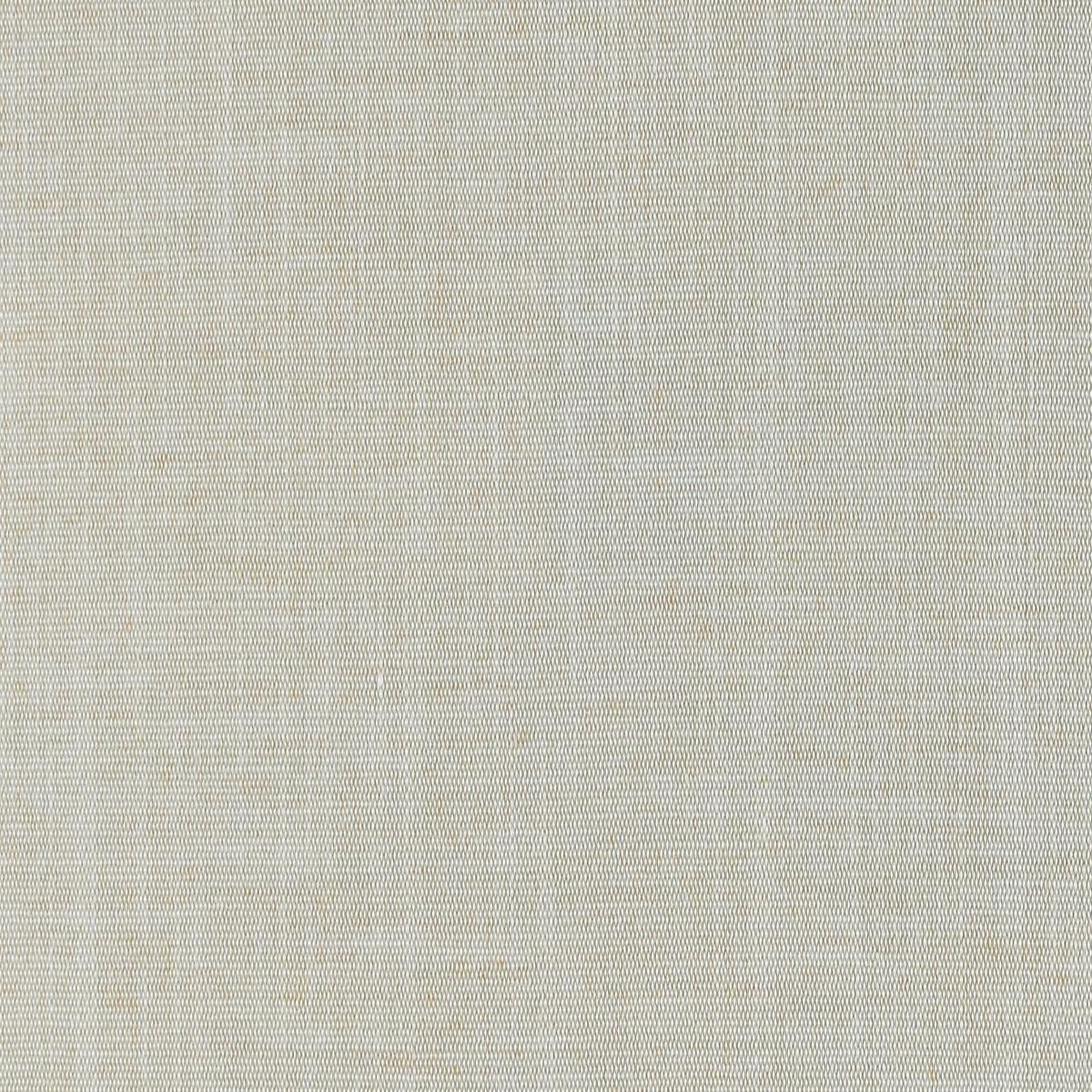 Belfast Backed 117 Shell Covington Fabric