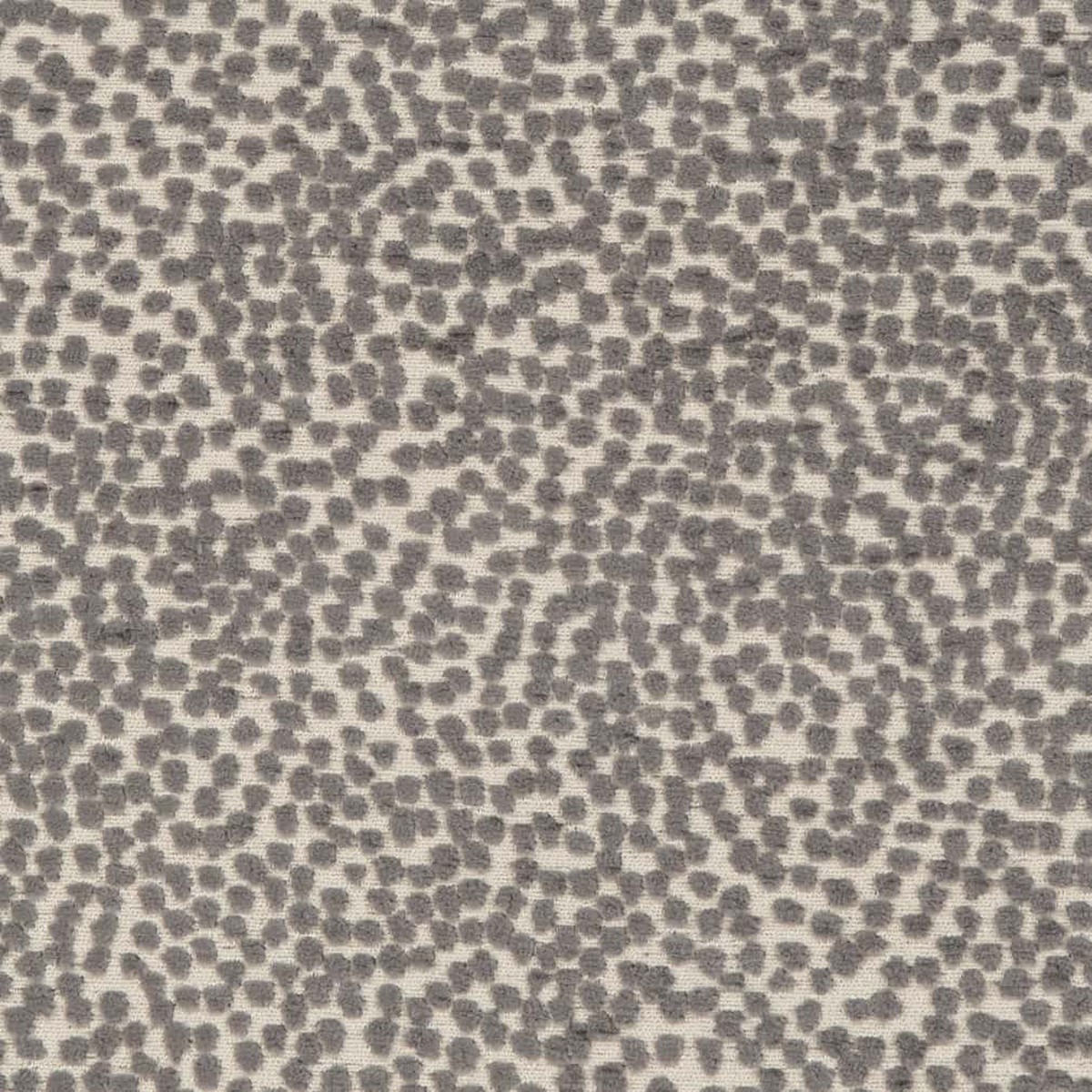 Charlotte - CB600-227 - Fabric by the Yard