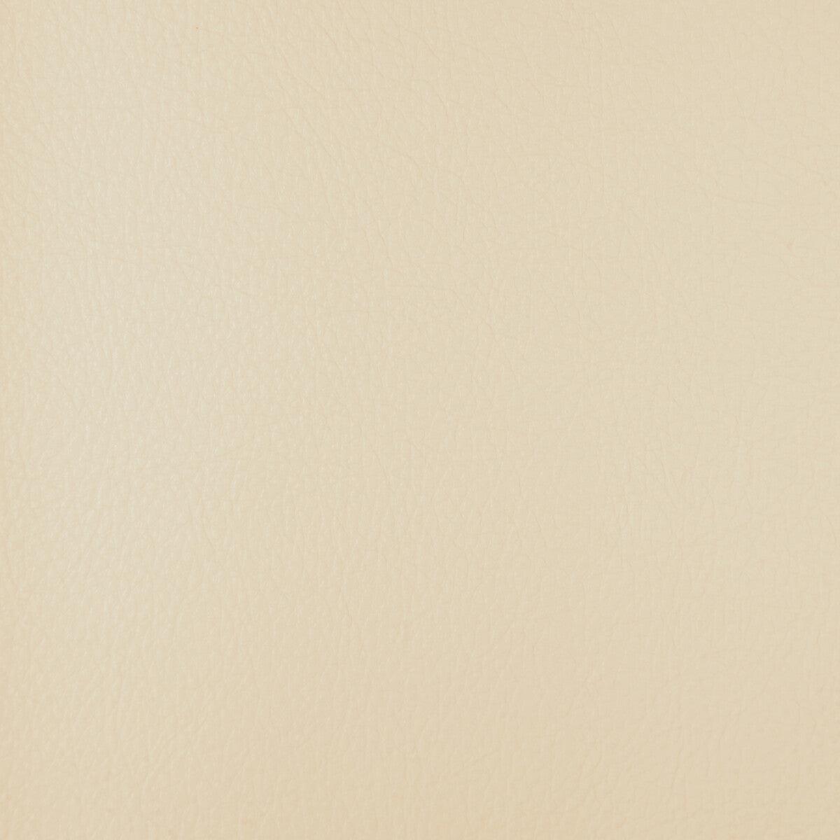 Harmony Harmony-101 Fabric