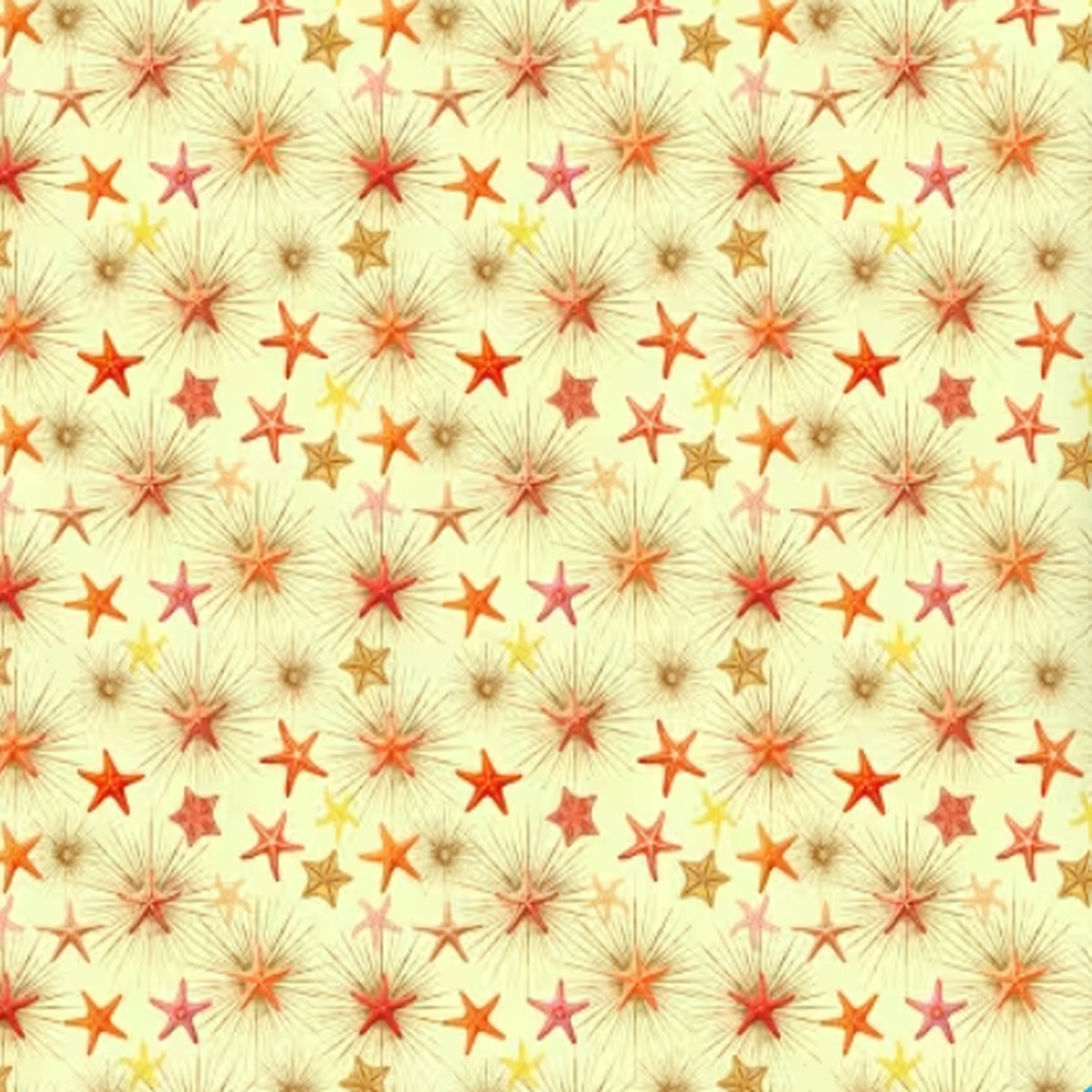Micheal Miler - Starfish And Sunburst - Butter