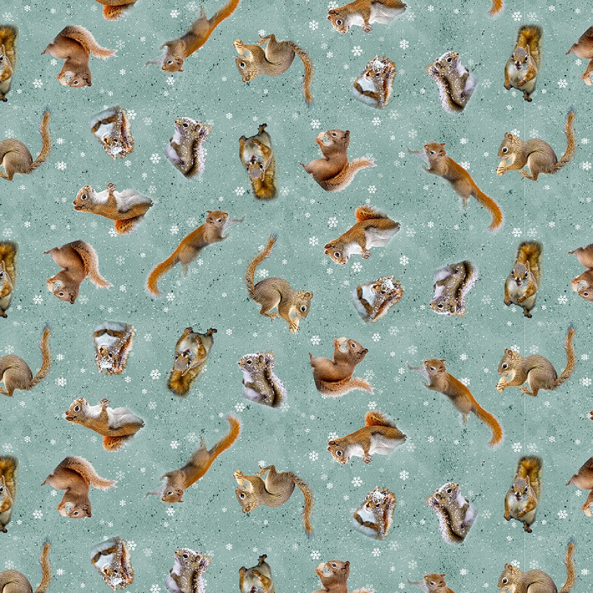 Clothworks Fabrics - The Secret Life of Squirrels Tossed Squirrels Teal SOLD BY THE HALF YARD