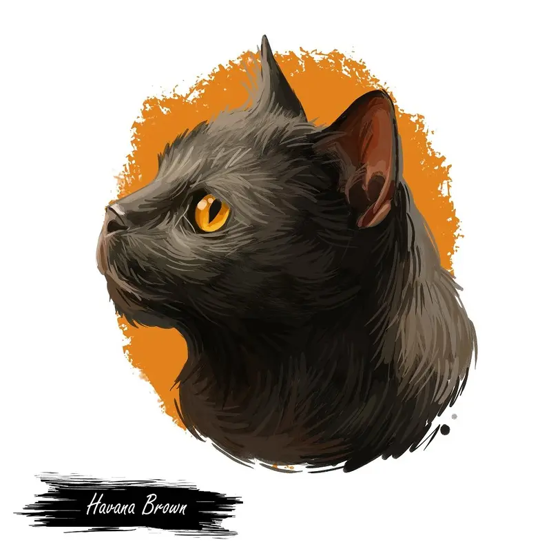 Havana Brown Cat Portrait Fabric Panel
