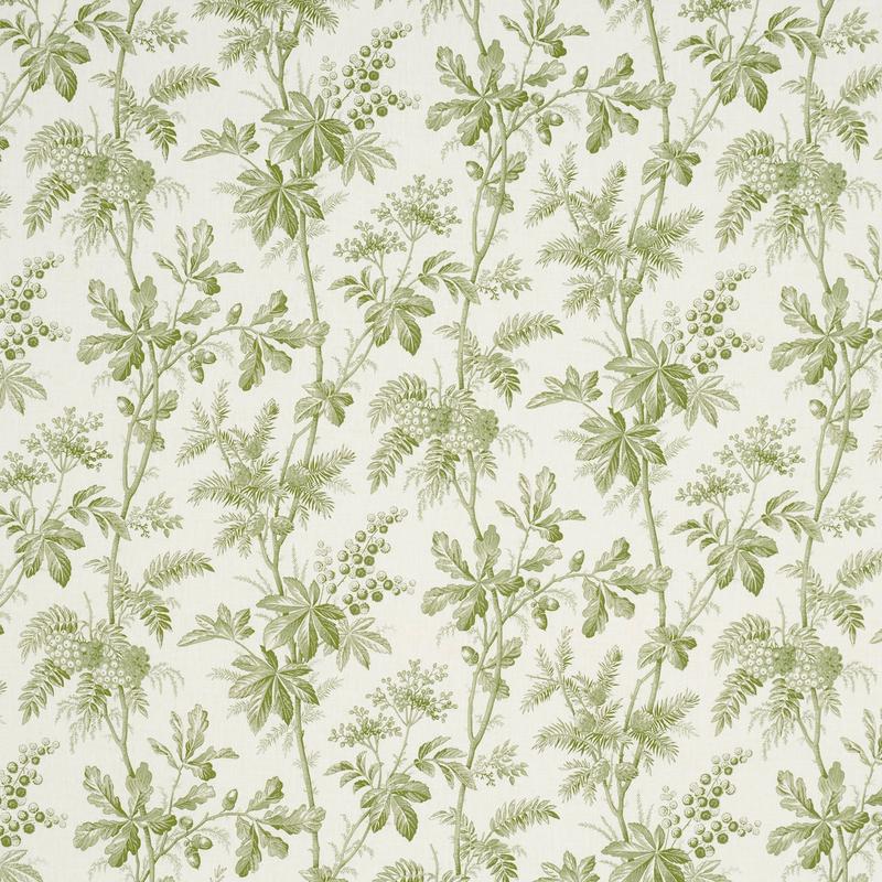BRANTWOOD VINE | Leaf