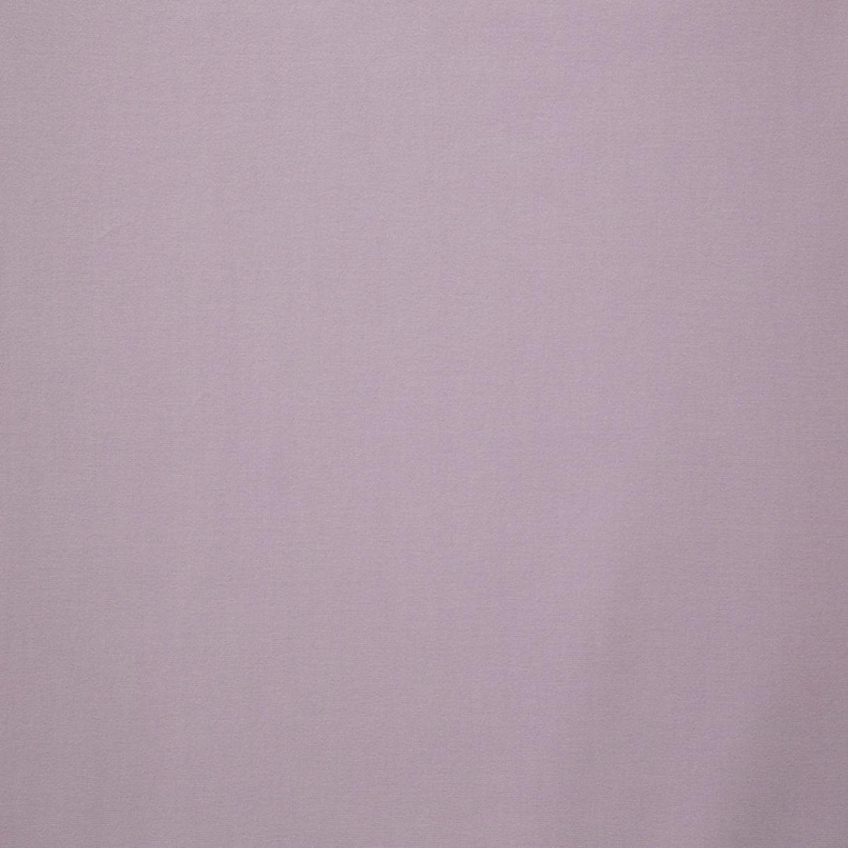 Toucan - Lilas by Scalamandre Fabric