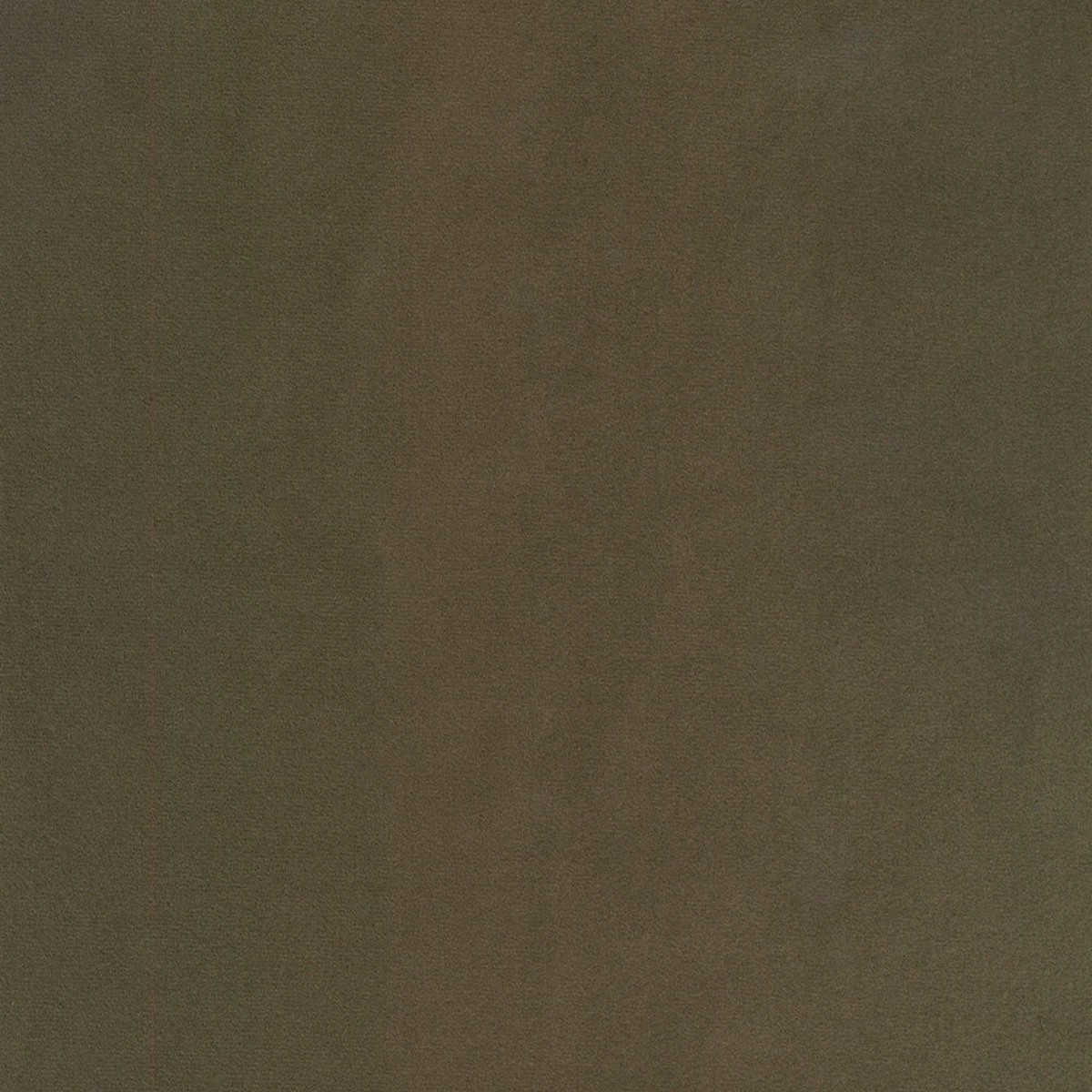 Map Loden Regal Fabric