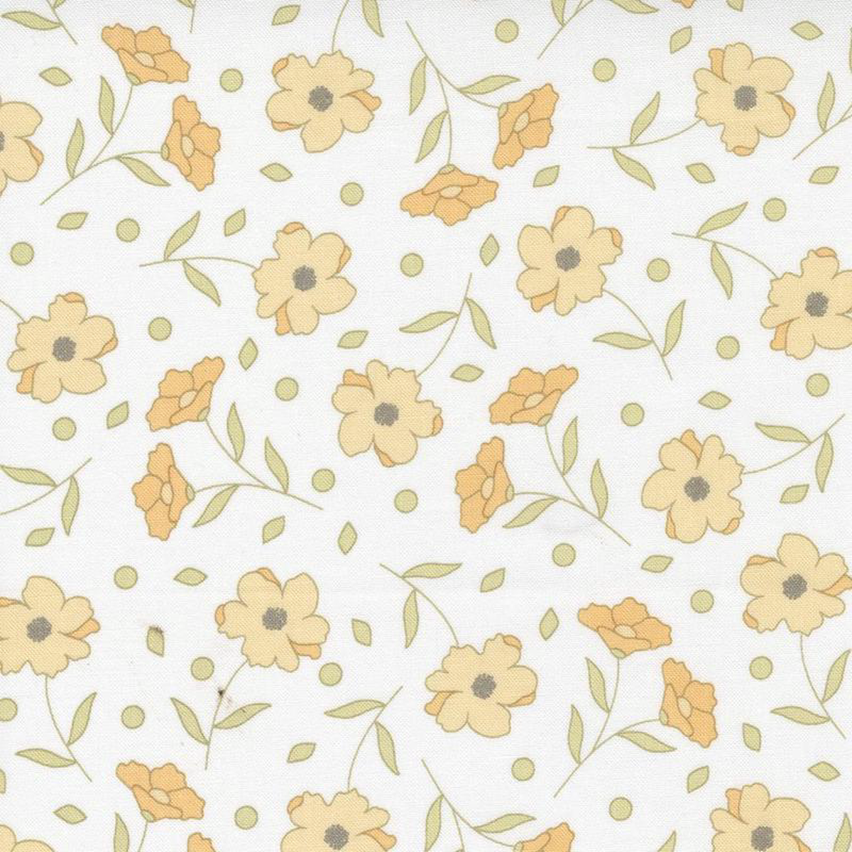 Buttercup and Slate 29152-21