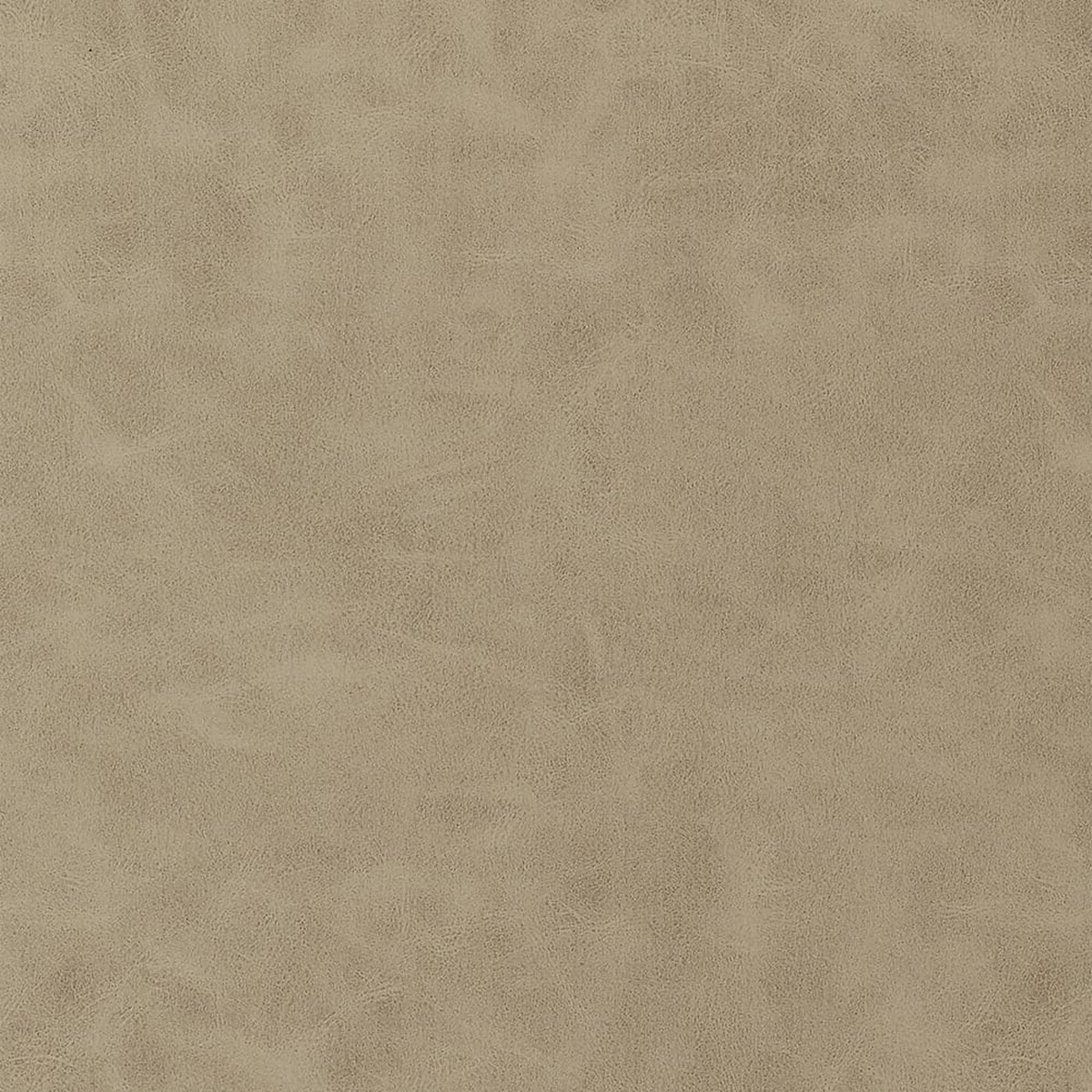 Cabretta Latte W9039 by Thibaut Fabric