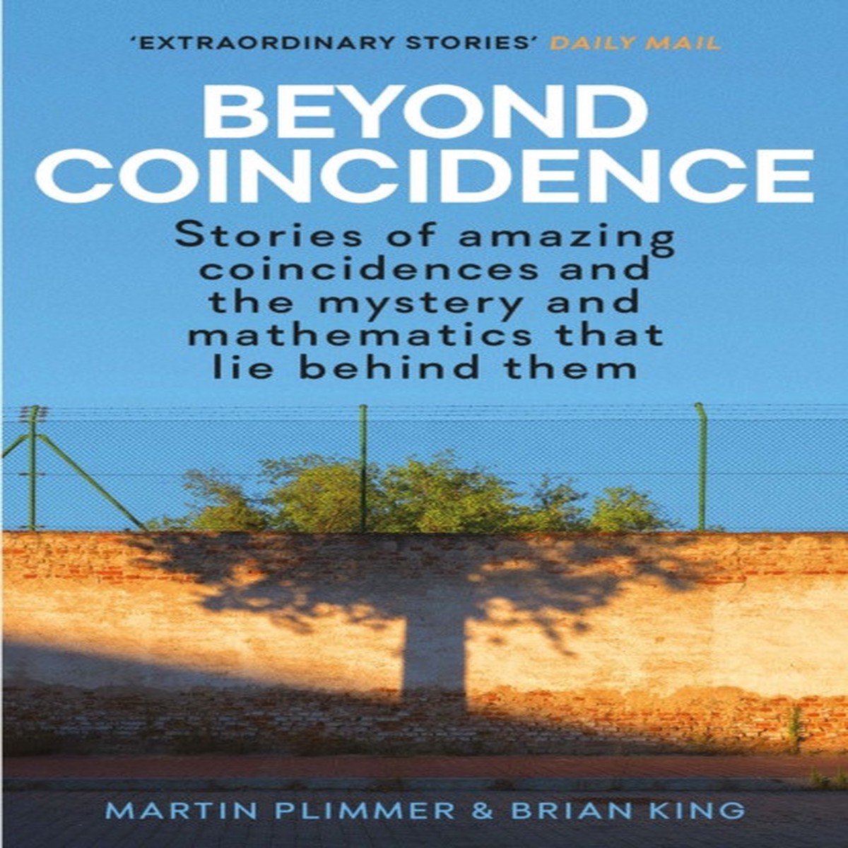 Beyond Coincidence by Martin Plimmer & Brian King