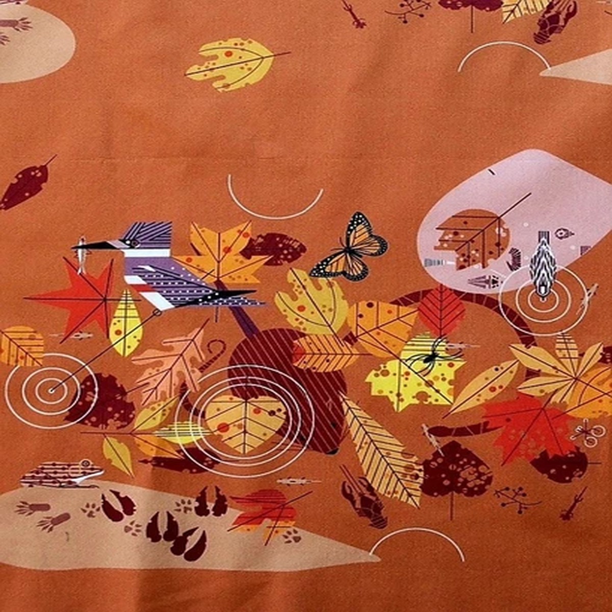 Charley Harper Harvest Vol 3Autumn, Birds Fabric1ydBTY100% Organic Cotto