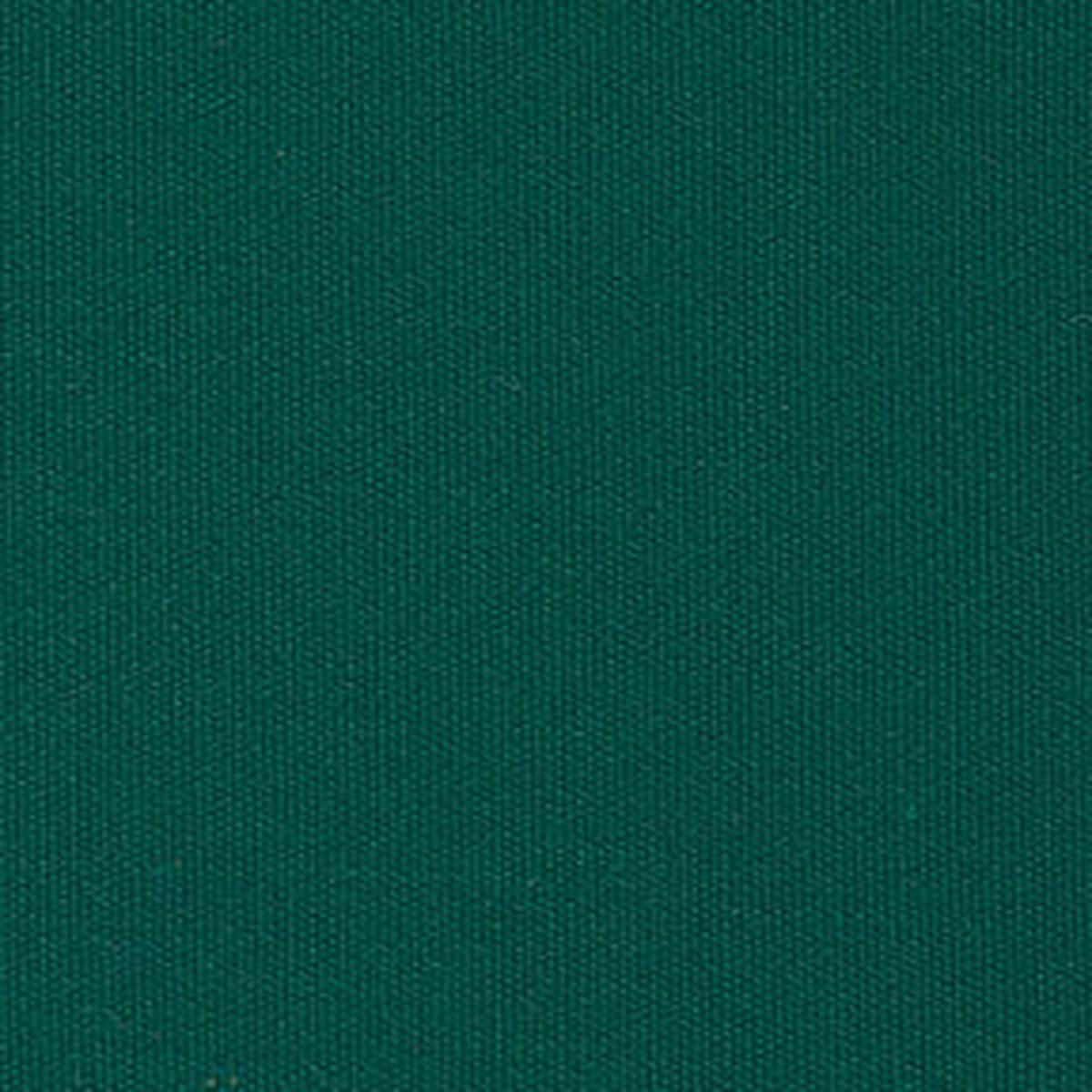 Sunbr 60" 6000 Erin Green Fabric