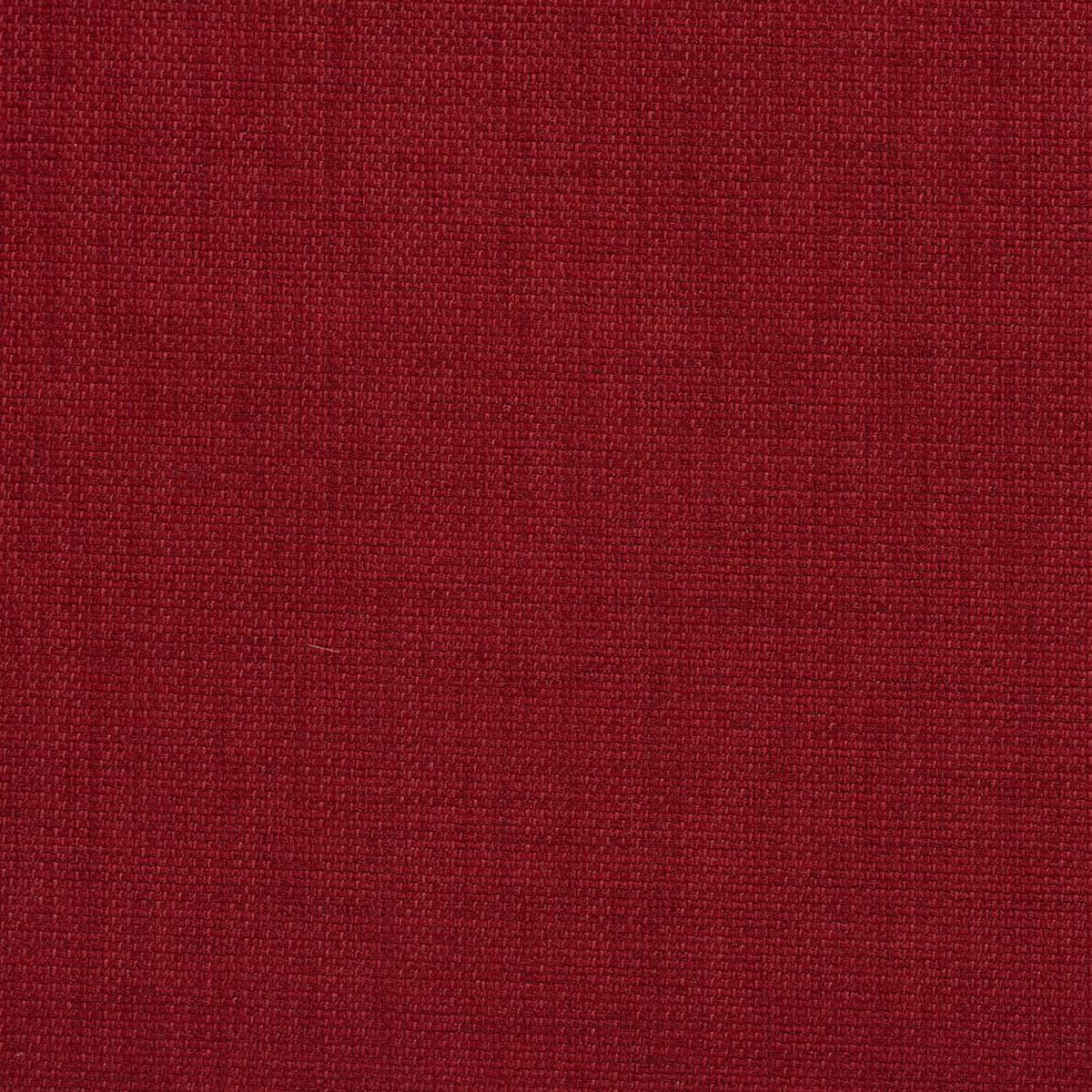 2019 Poppy