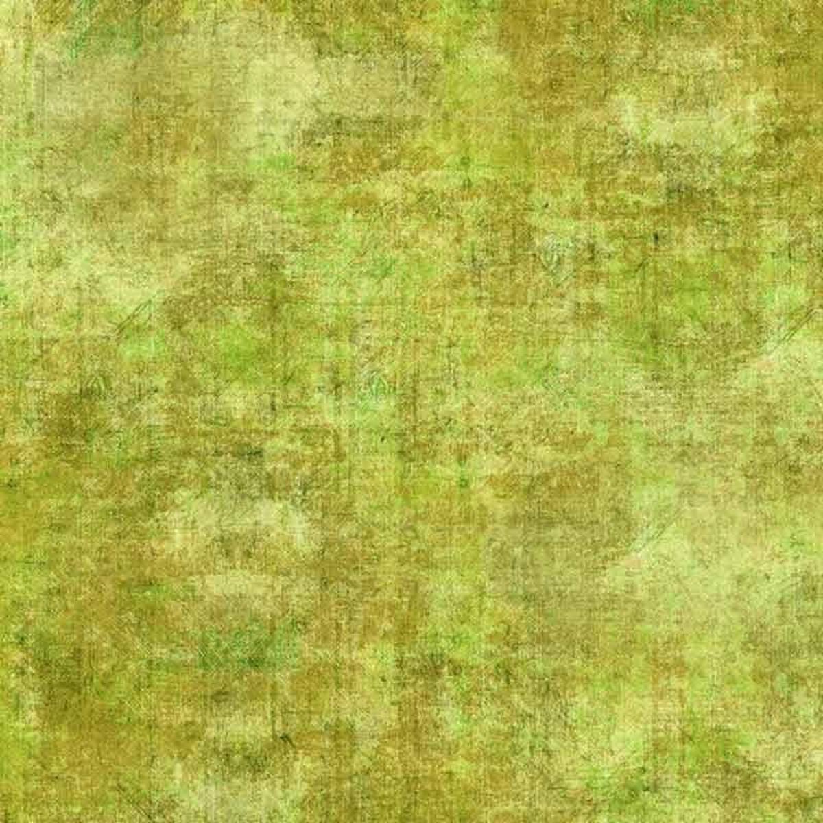 In The Beginning Halcyon 12HN 19 Lime