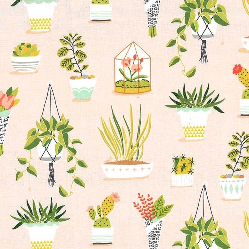 Pretty Plants Peach