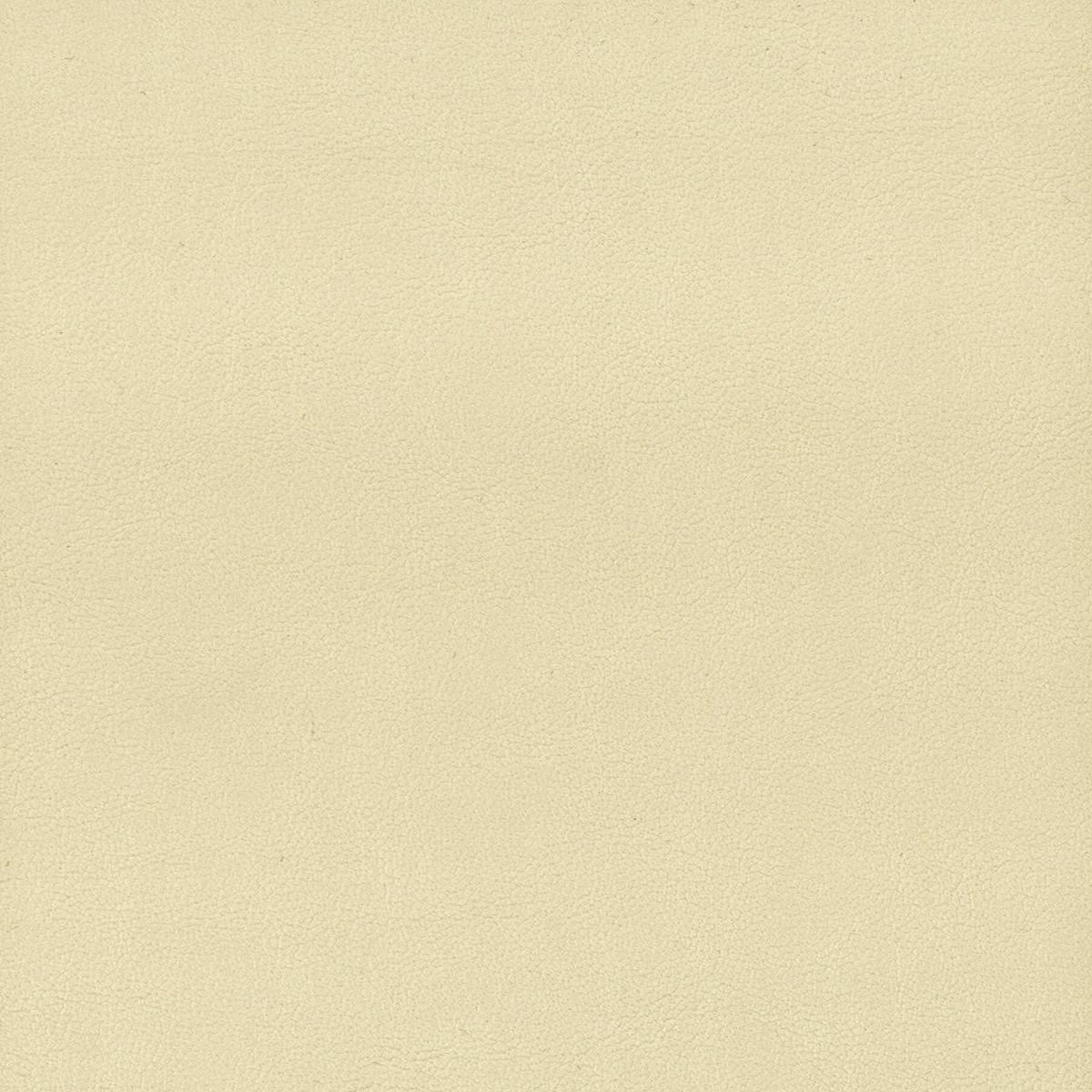 ELBERT 1 PARCHMENT