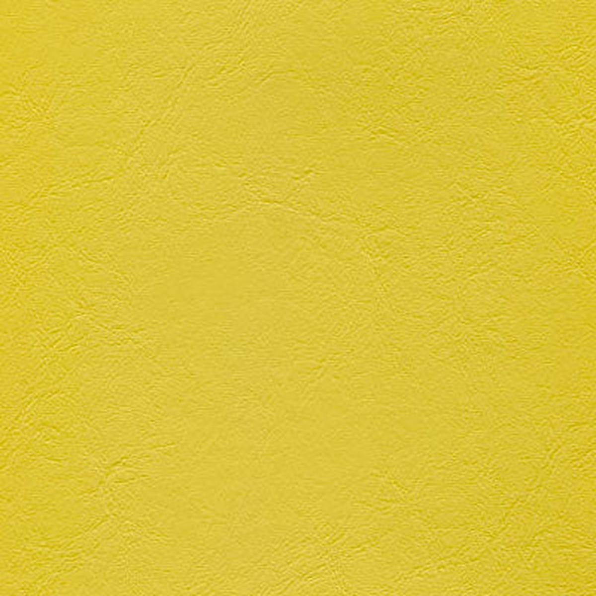 Windsong 716 Jamaican Sun Fabric