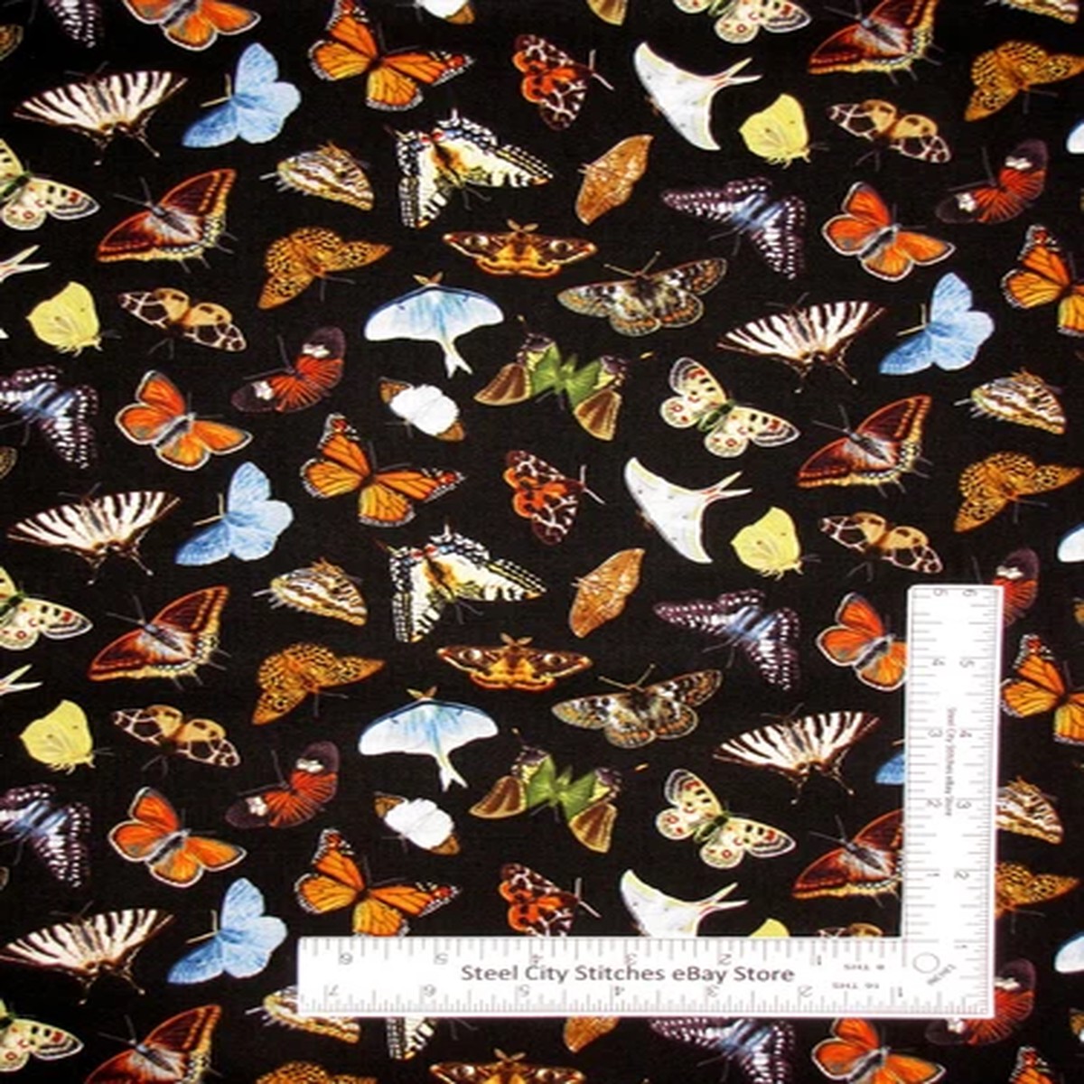 Butterfly Moth Fabric Butterflies Bugs Cotton 9802 Elizabeths Studio By Yard