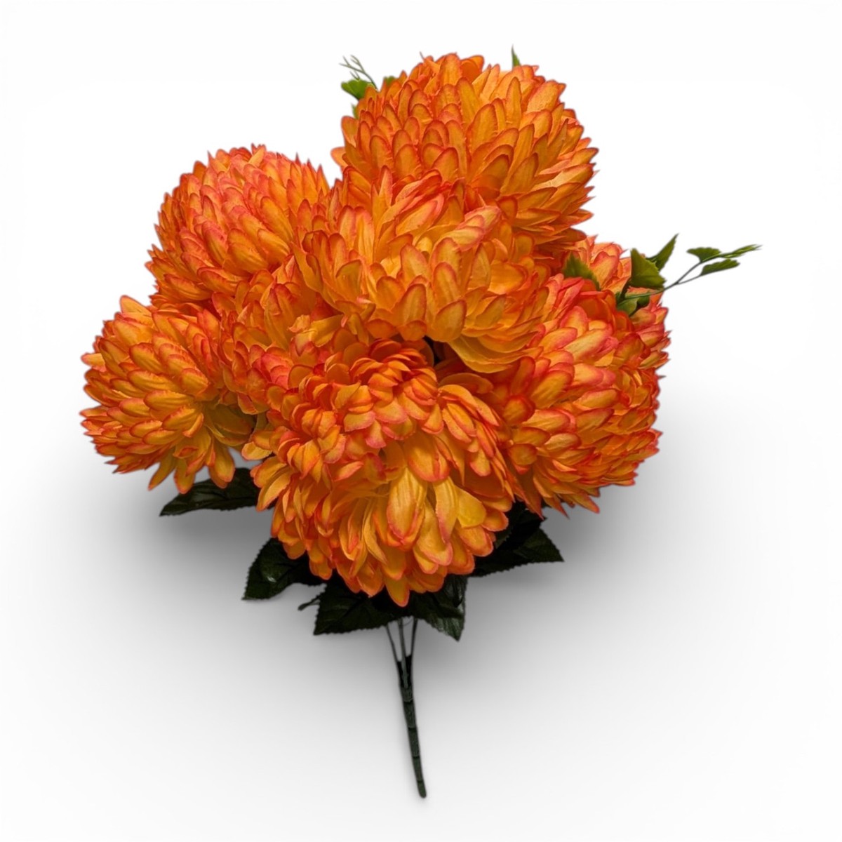 Orange Mums with Fiery Highlights