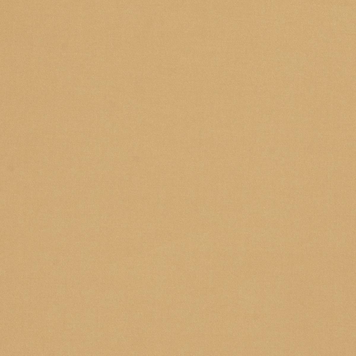 Valencia Satin - Raffia