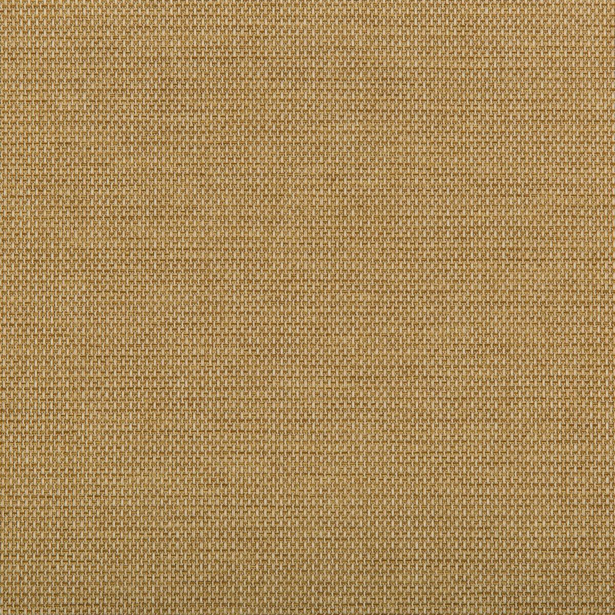 Kravet Contract 4645-416 Fabric