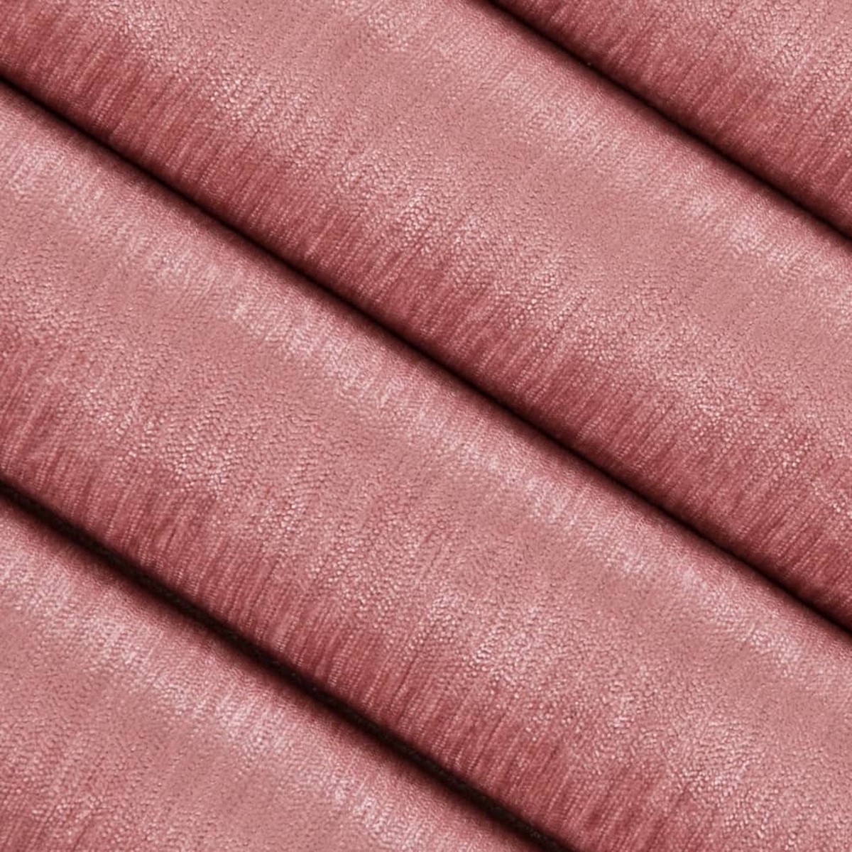 Percey Rose