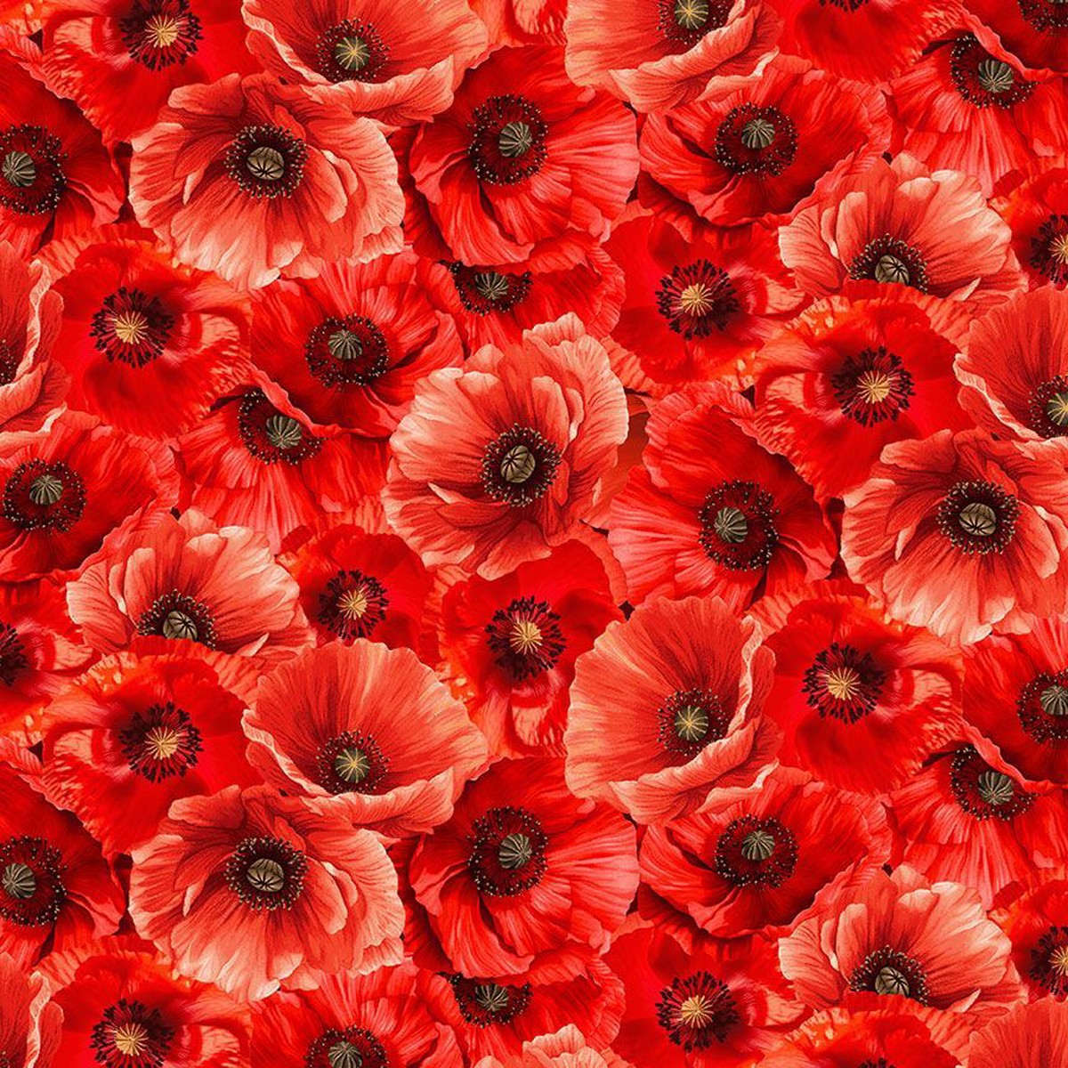 Poppy Passion - Packed Poppies Poppy | POPPY-CD3805 POPPY