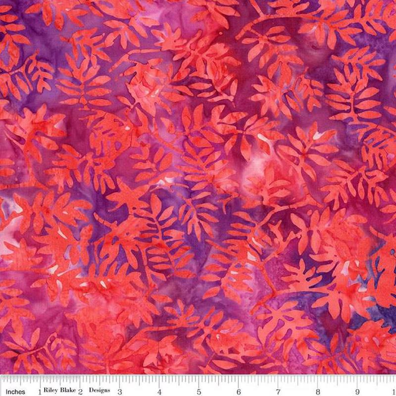 Seaside Sunset - Coral Fiesta