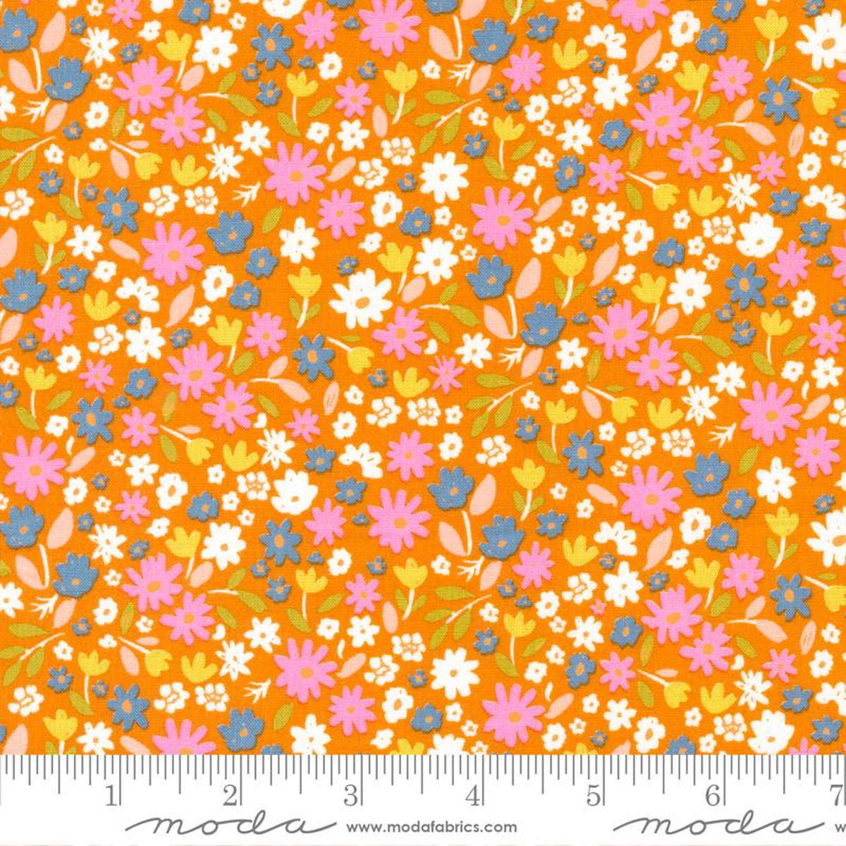 Marigold - Summer Sunshine