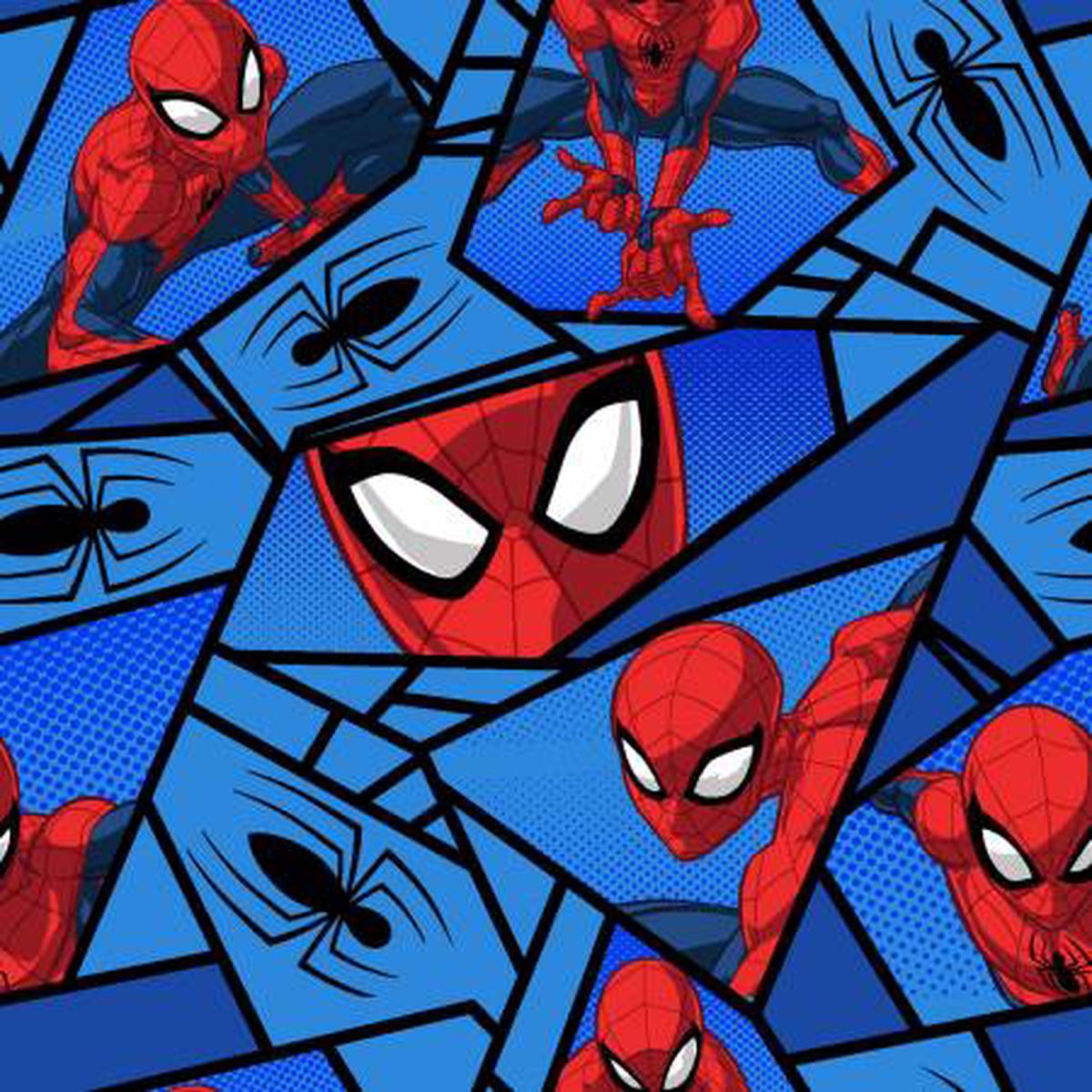 Spiderman Spiders 80369-A62078