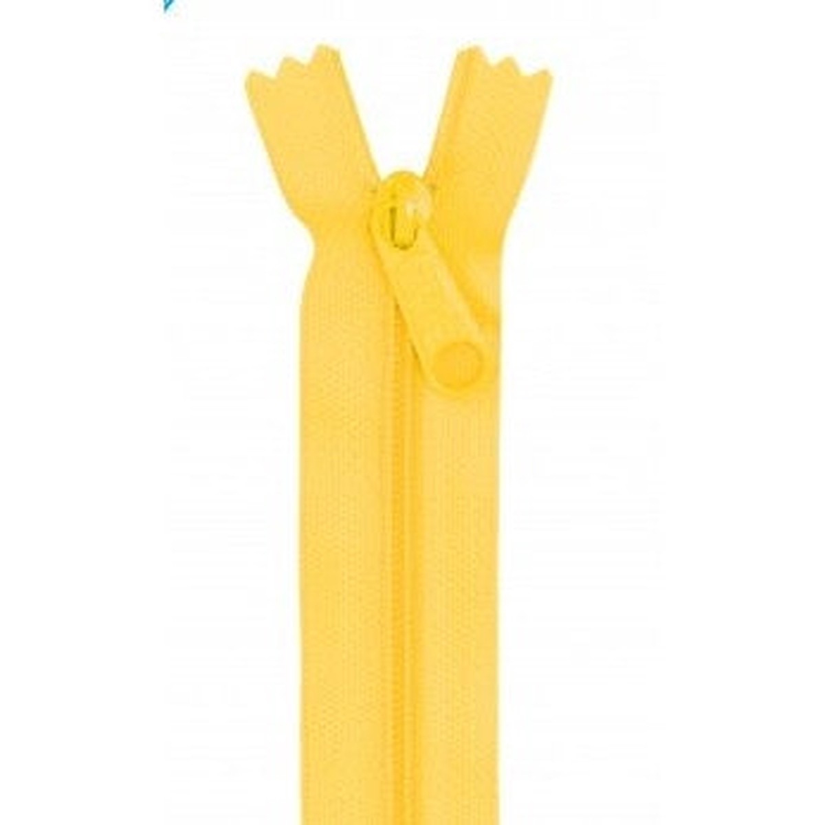 Dandelion 24" Zipper