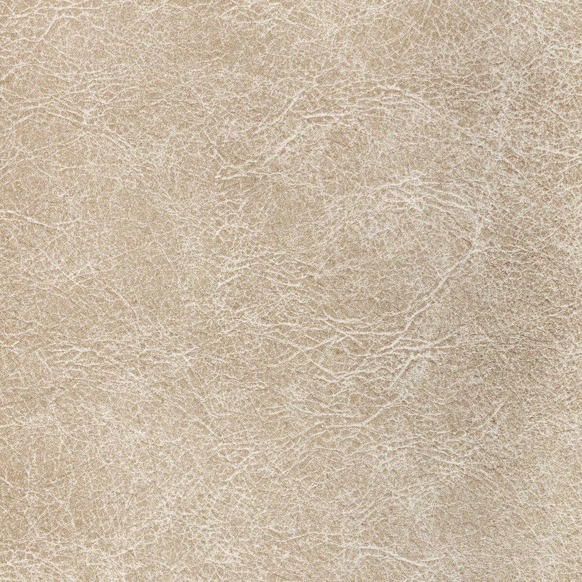 Reboot Fossil Fabric