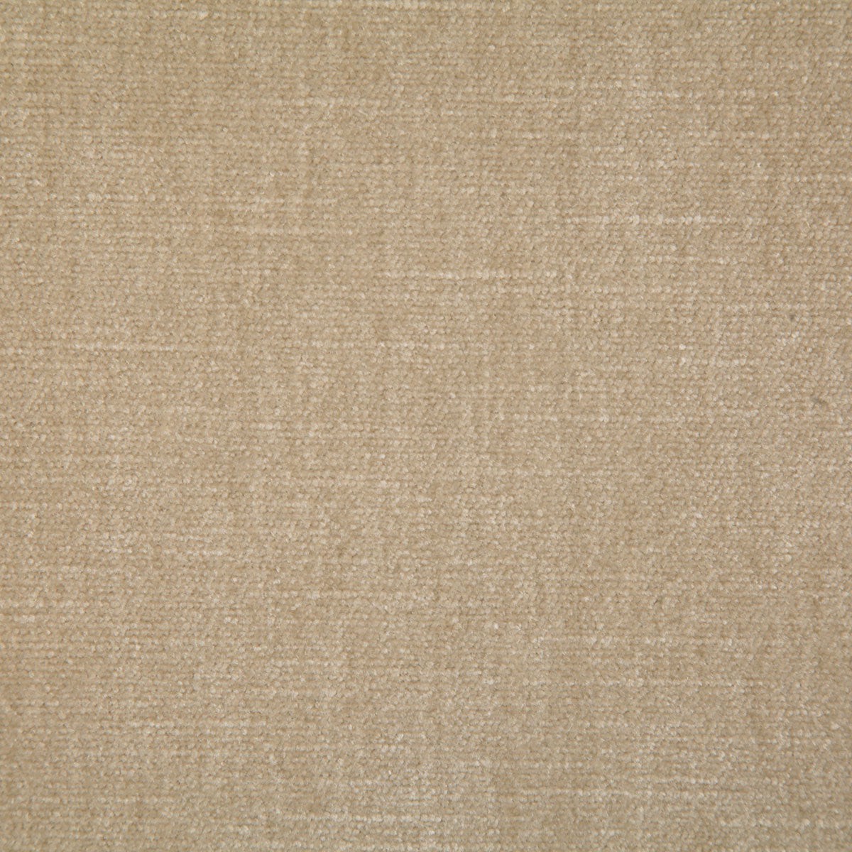 7050 KENNEDY-CHAMPAGNE - Pindler Fabric